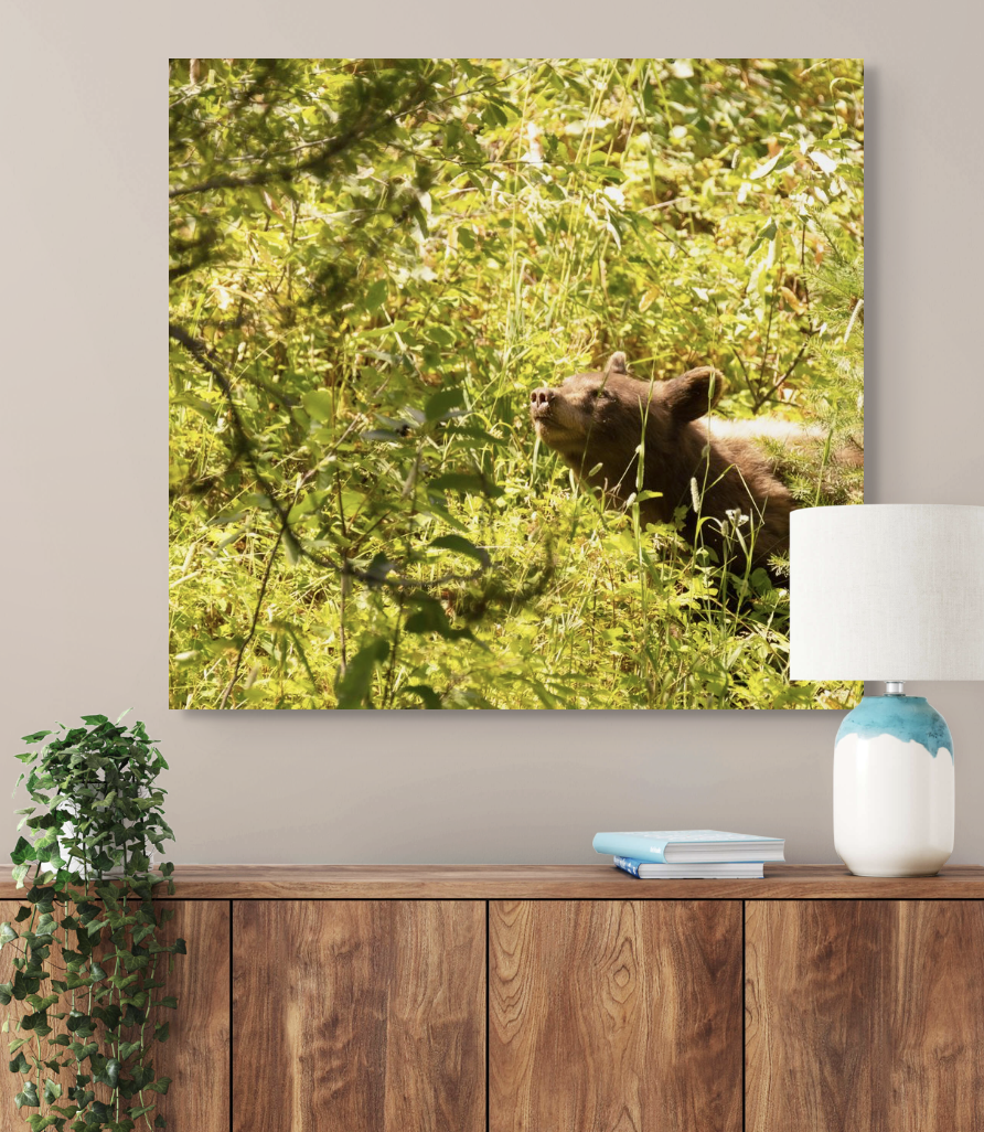 Screenshot 2025-12-01 at 10.31.38 PM.png