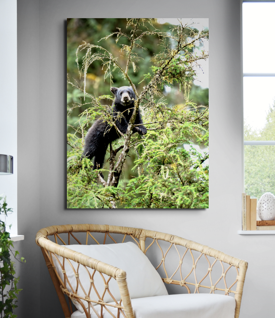 Screenshot 2025-12-02 at 12.24.45 PM.png