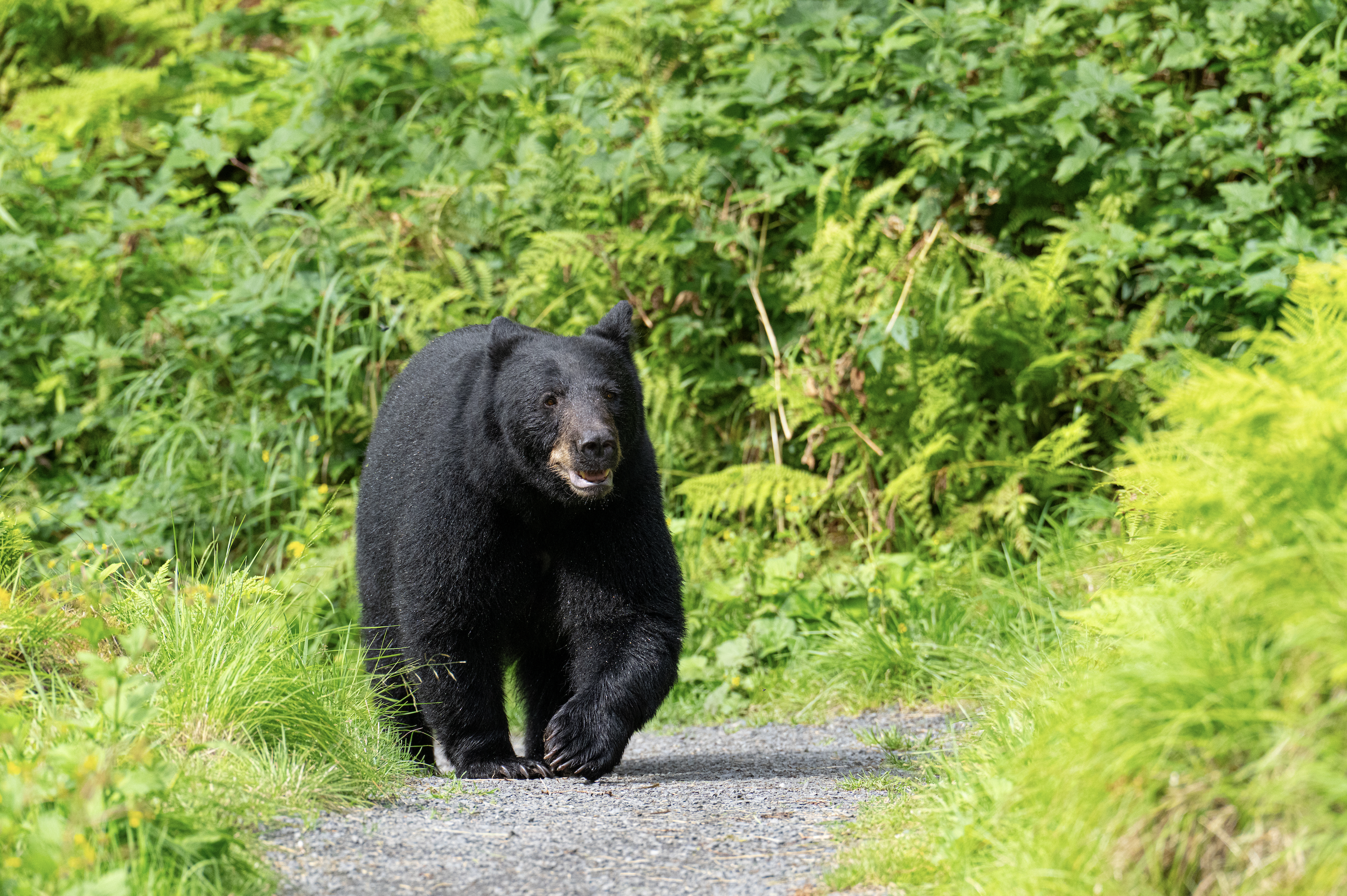 Screenshot 2025-12-01 at 10.18.12 PM.png