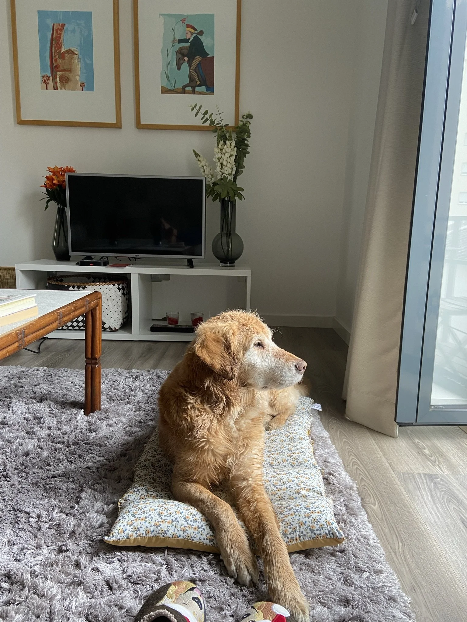 Honey Pop Season