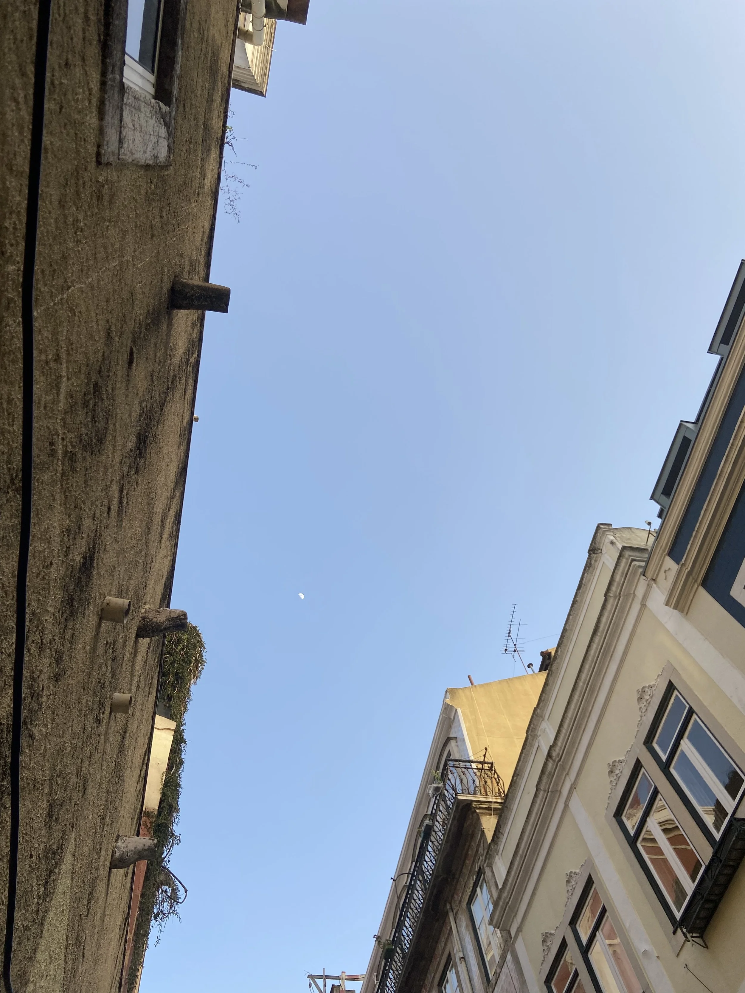 A06C82E3-8D8B-4690-B1D6-067DCC7A3542.jpeg