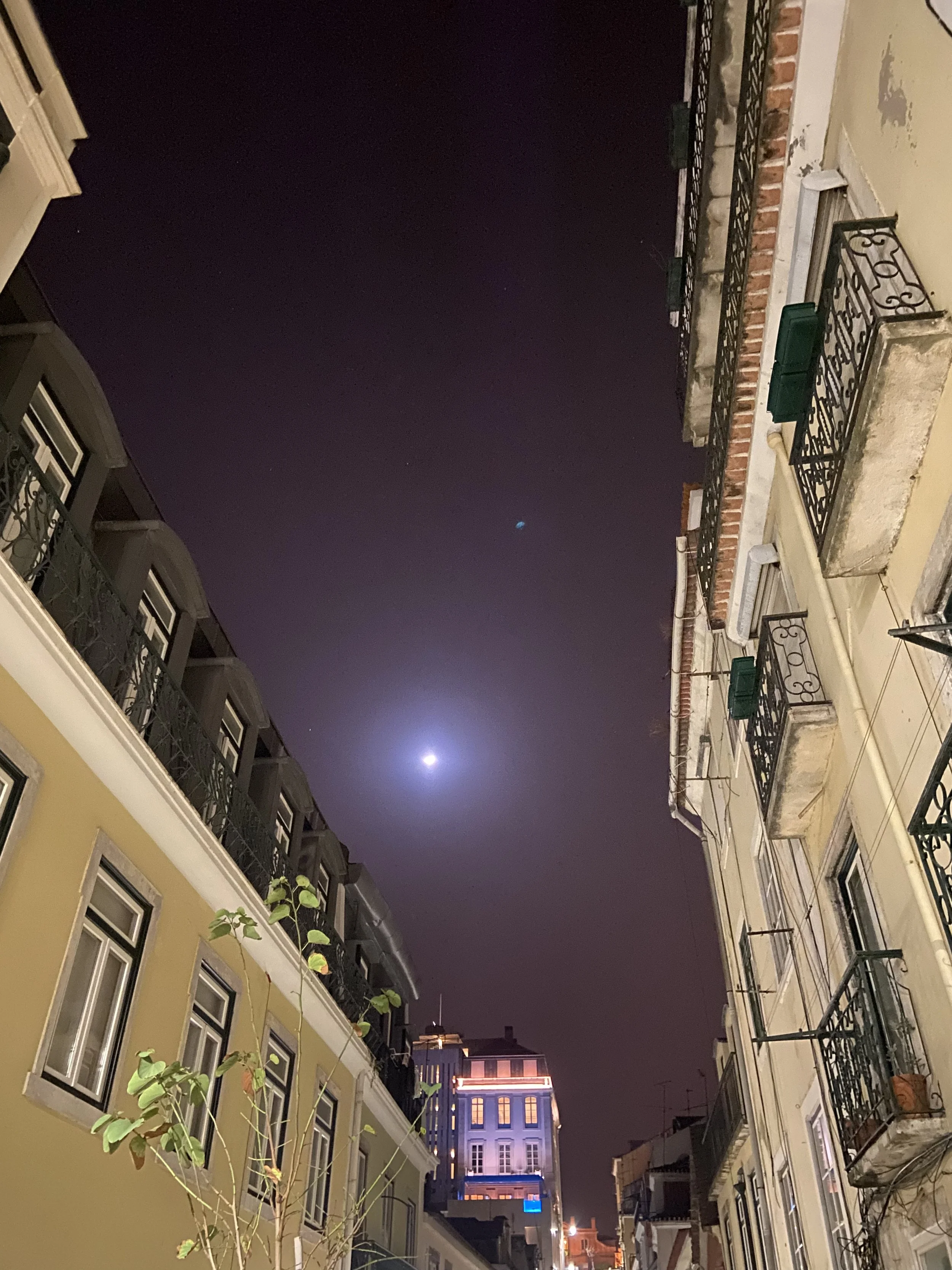 26838531-F866-4997-AD6B-37089DCD95F7.jpeg