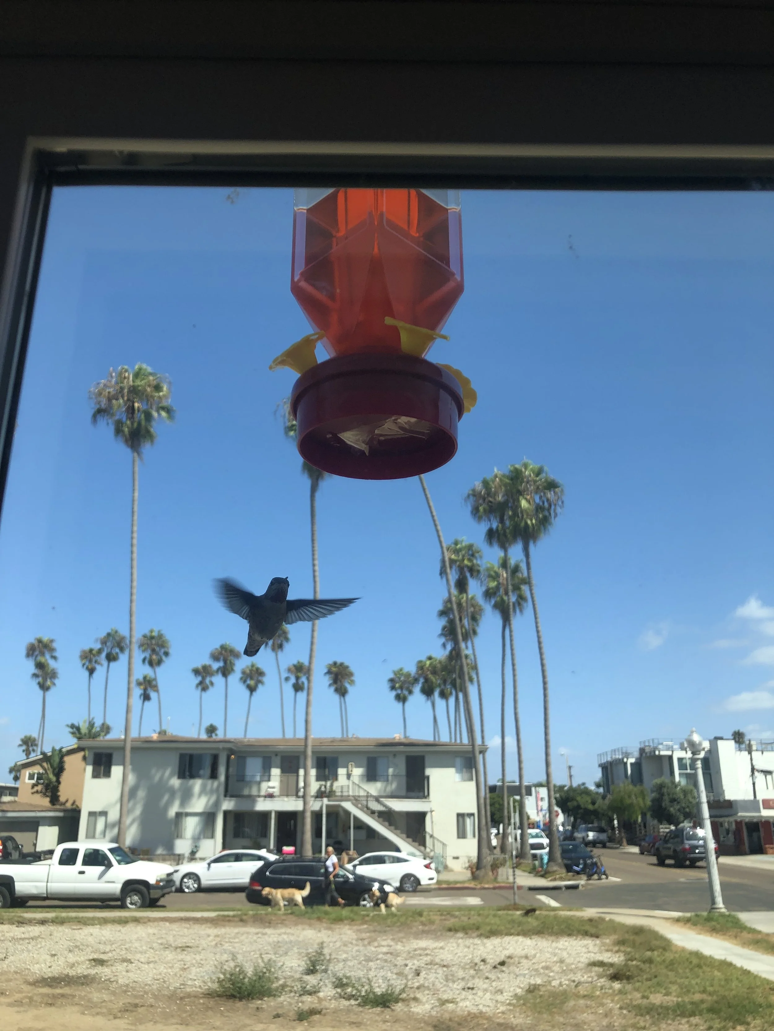 B607EFFF-9783-4D54-9493-87C0D2A076AD.jpeg
