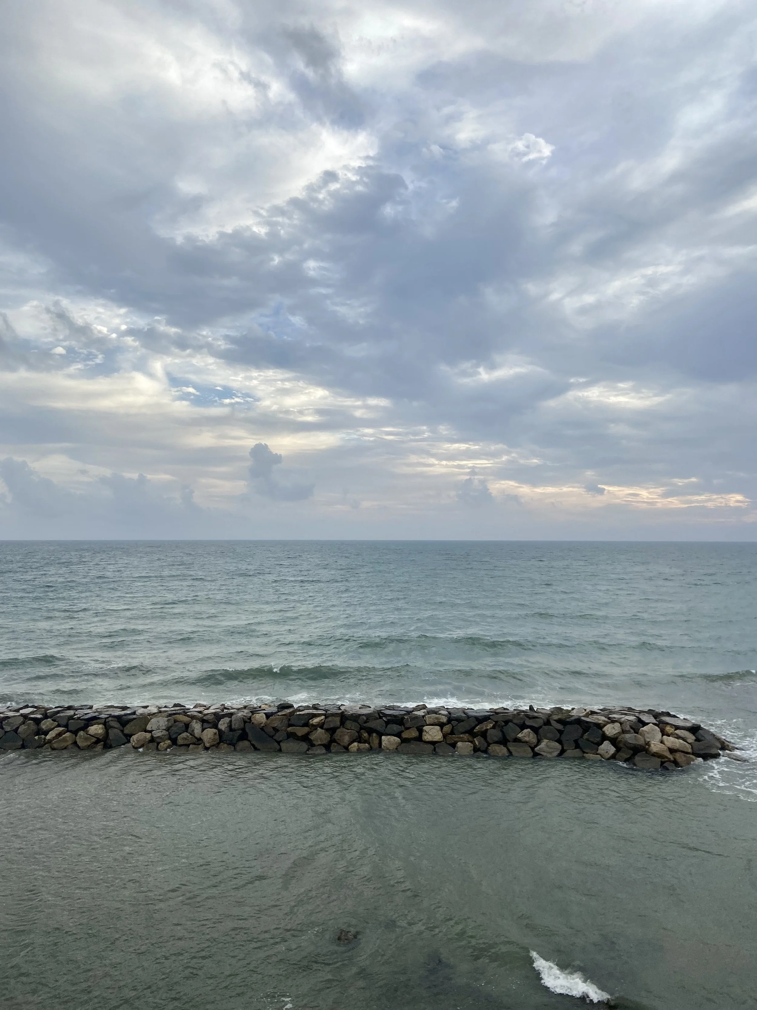 41EECDF2-A1C5-4783-A4F9-5BE7D3909BB0.jpeg
