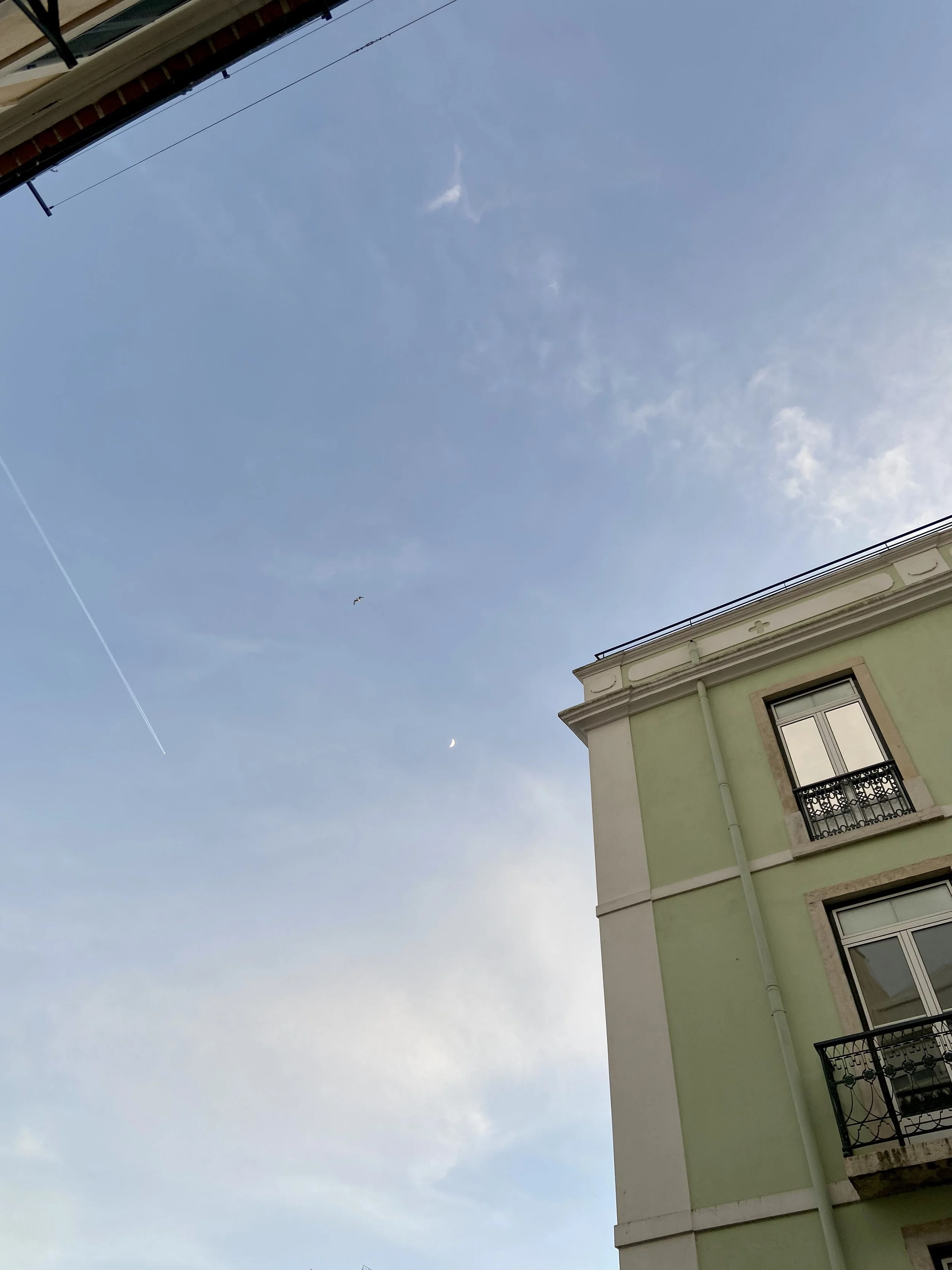 9D57CA82-65EB-4101-B7B2-674ADF88B613.jpeg