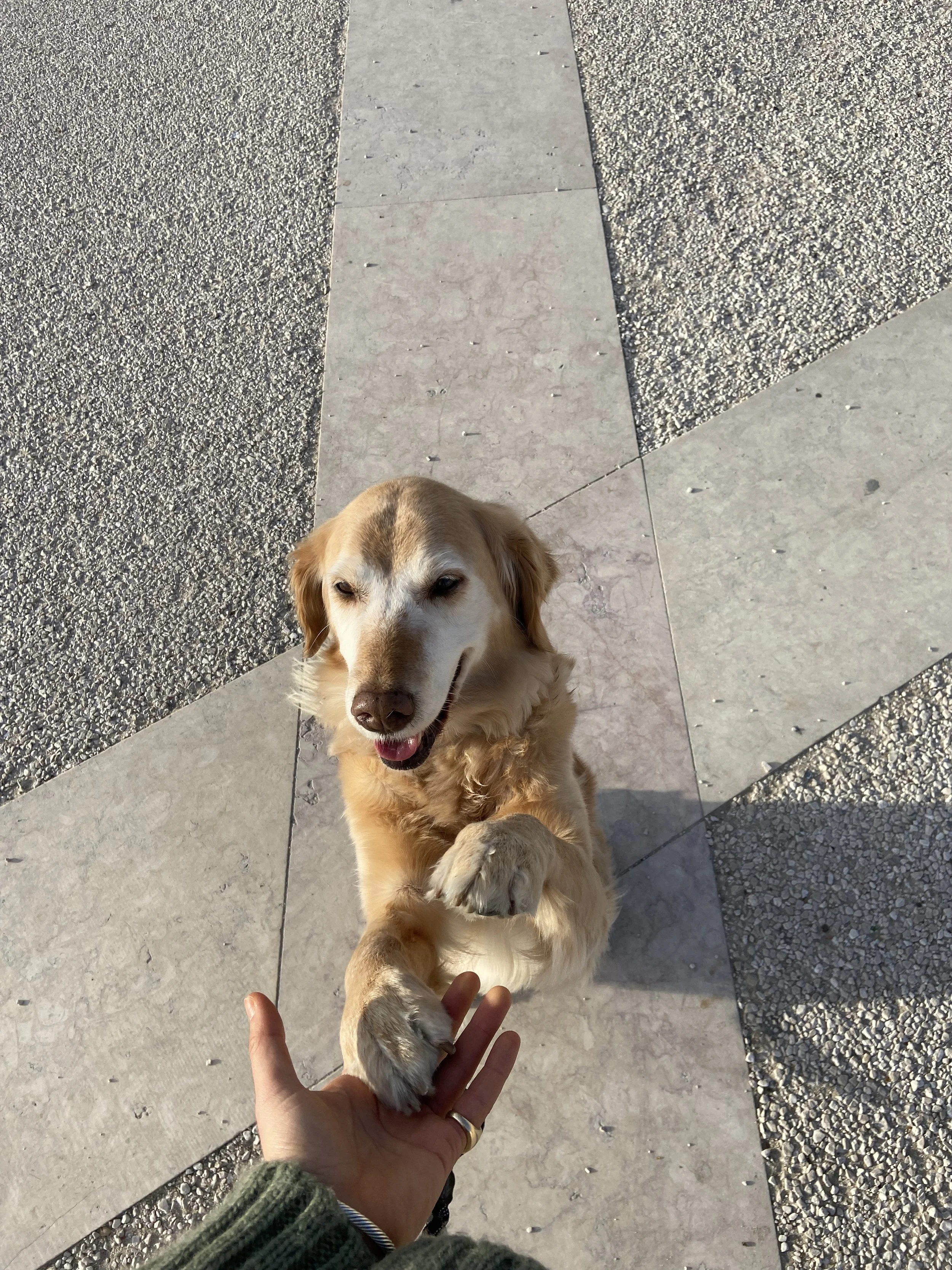 599C25DA-4CAB-4503-9E60-76982802E85B.jpeg