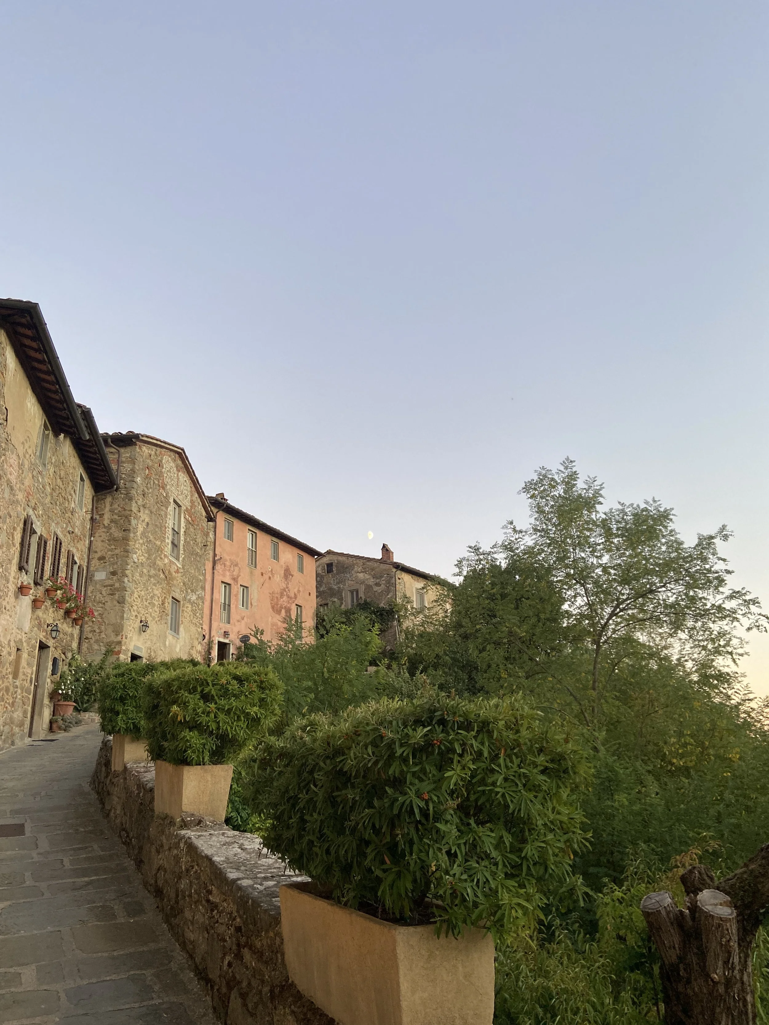 E8373CF9-818B-4429-B61C-4E5254D68498.jpeg