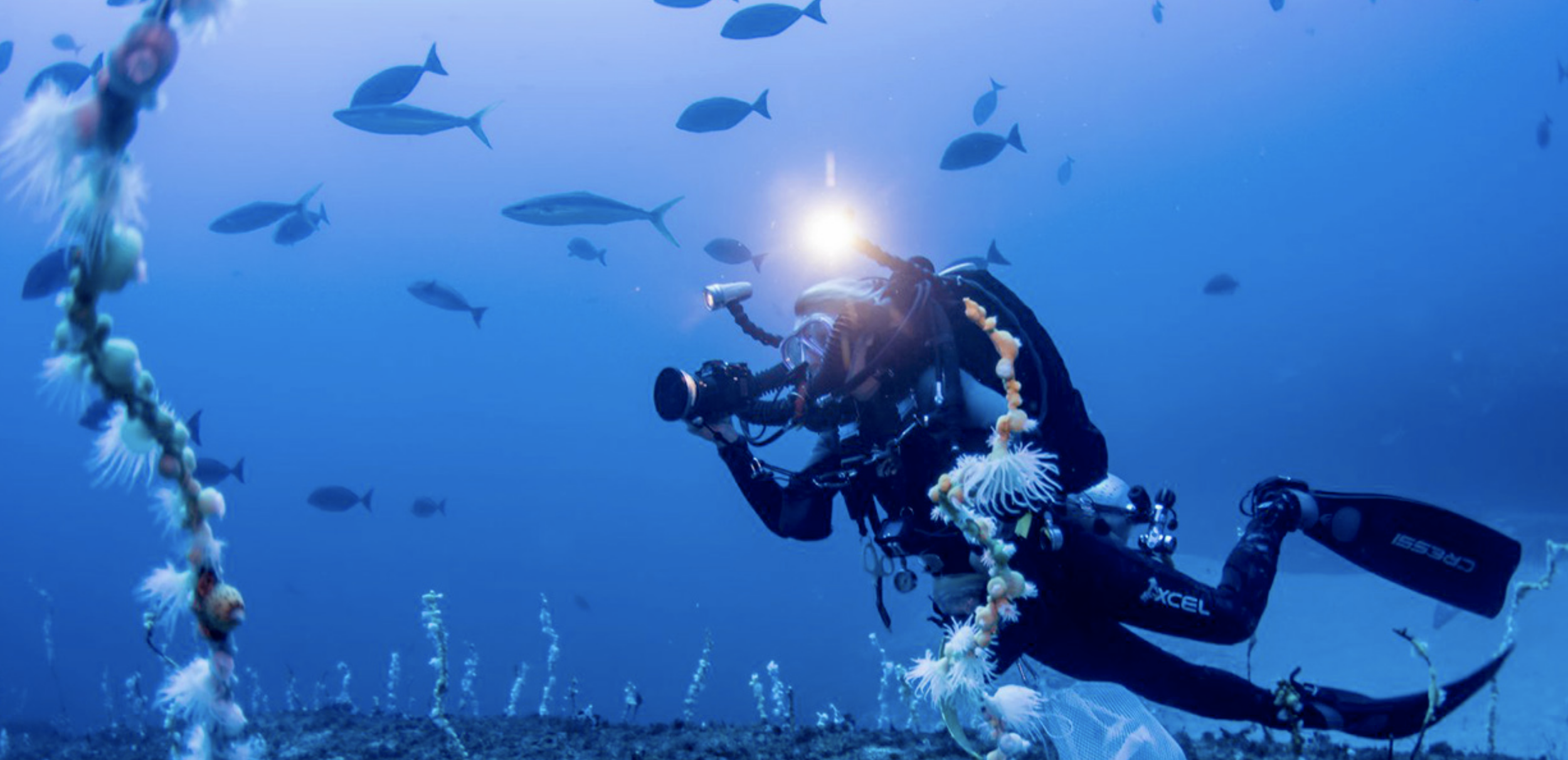 Join a Real Deep-Sea Research Expedition With Dr. Sonia J Rowley