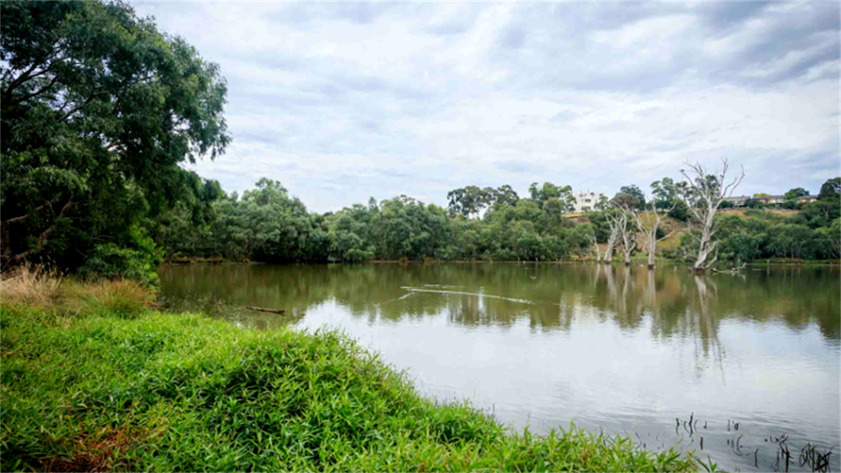 A serene landscape featuring a calm lake surrounded by lush green trees and bushes, with a few leafless trees and a cloudy sky overhead.
