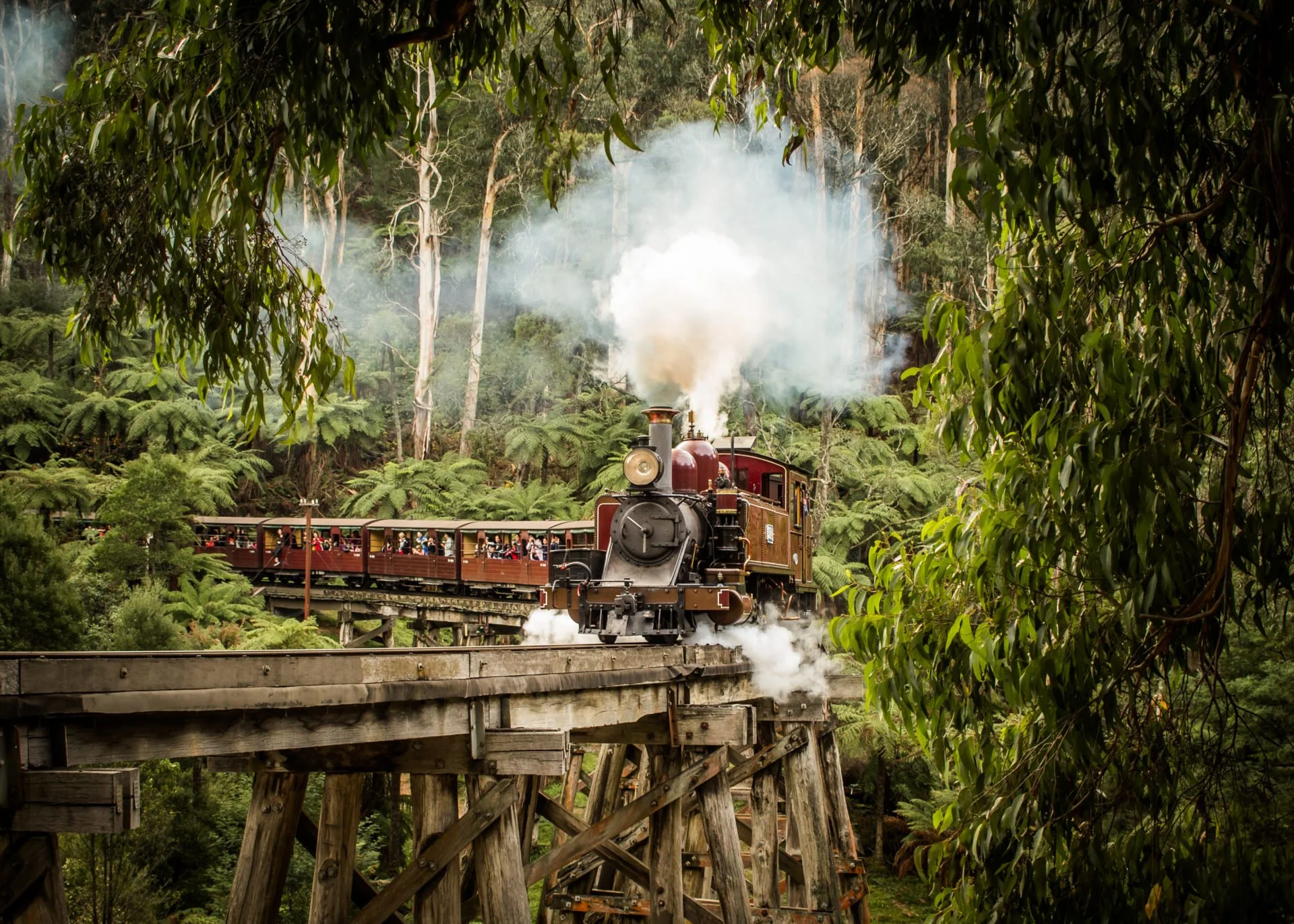 A vintage steam train traveling through a lush, green forest, with passengers visible in the open carriages and smoke billowing from the locomotive's chimney.