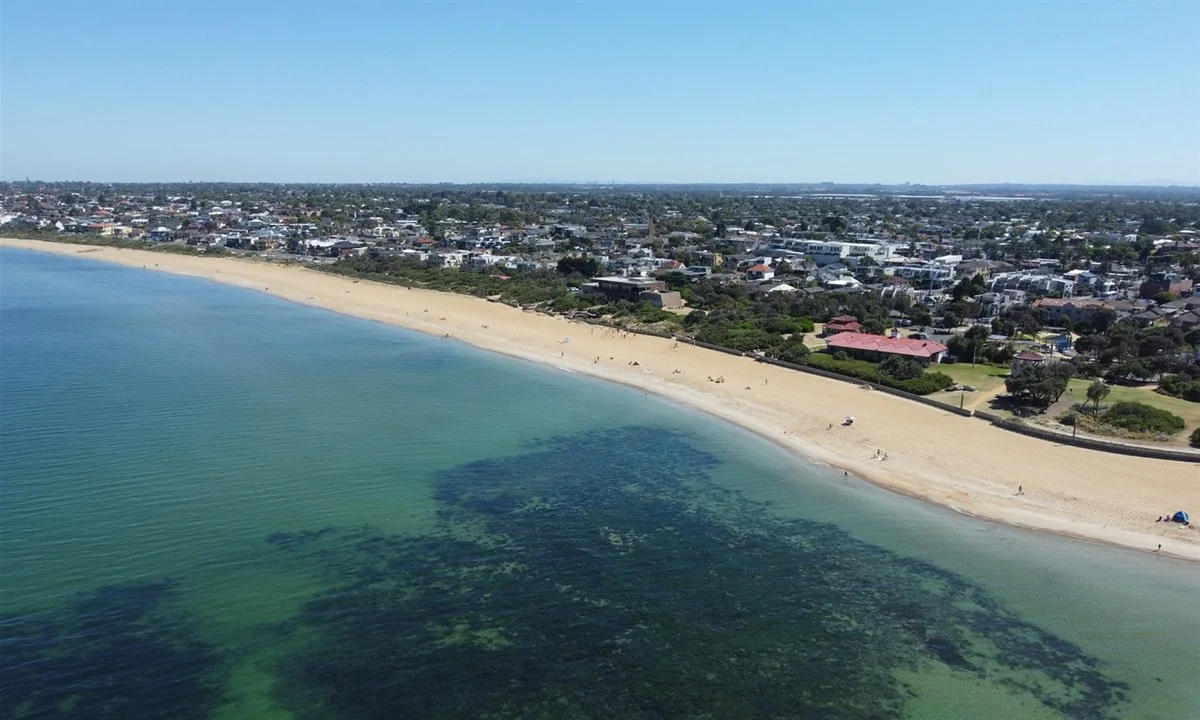 Aerial view of a beach with greenish water, sandy shore, and a residential area with houses and trees in the background.