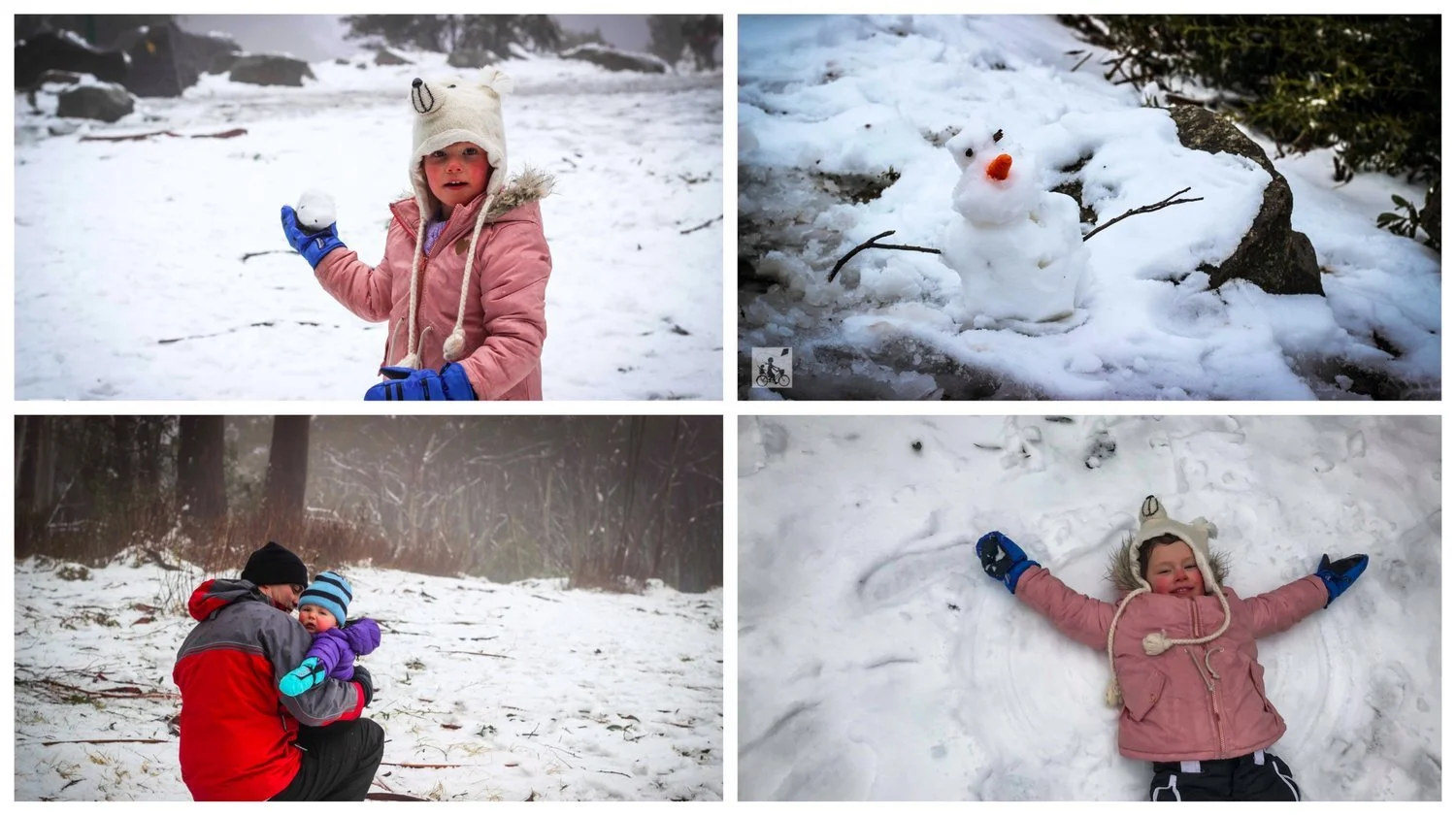 Mount Donna Buang-03.jpg