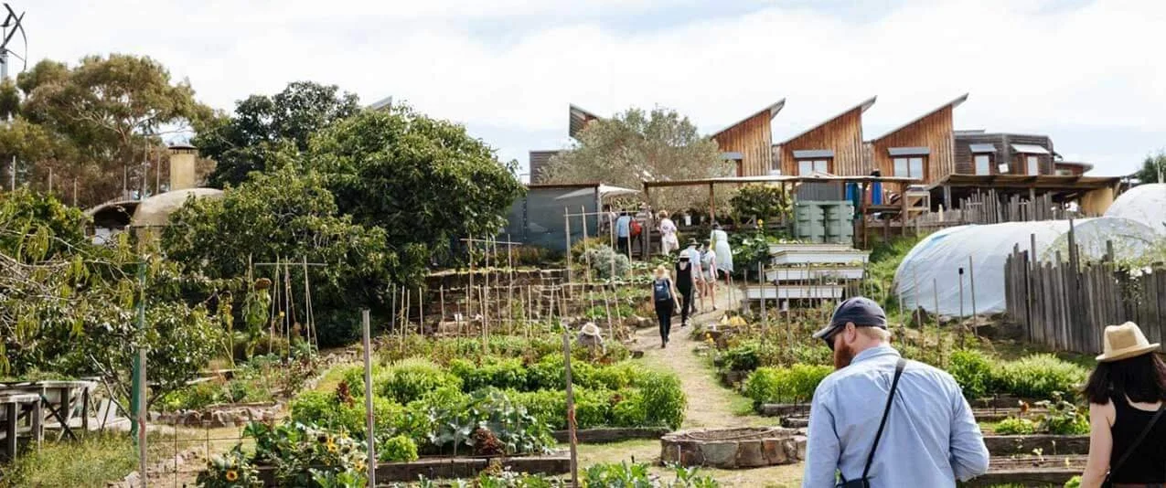 Group of people walking through a lush vegetable garden with raised beds and greenhouses, with modern houses in the background on a cloudy day.