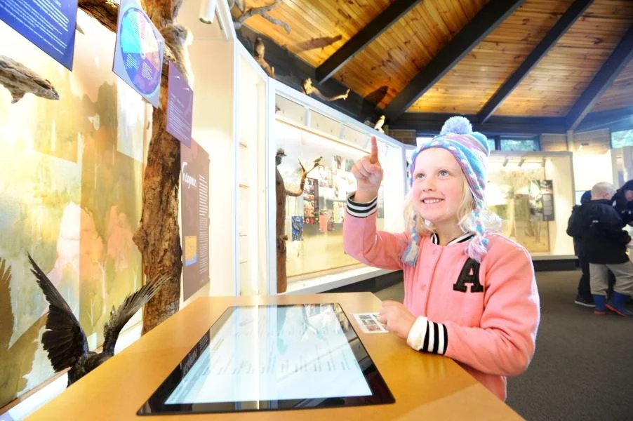A young girl in a pink jacket and colorful knit hat is pointing upward with her right index finger while smiling at an interactive display tablet in a museum exhibit on wildlife. Behind her, display cases with preserved animals and informational posters are visible, and other visitors are present in the background.