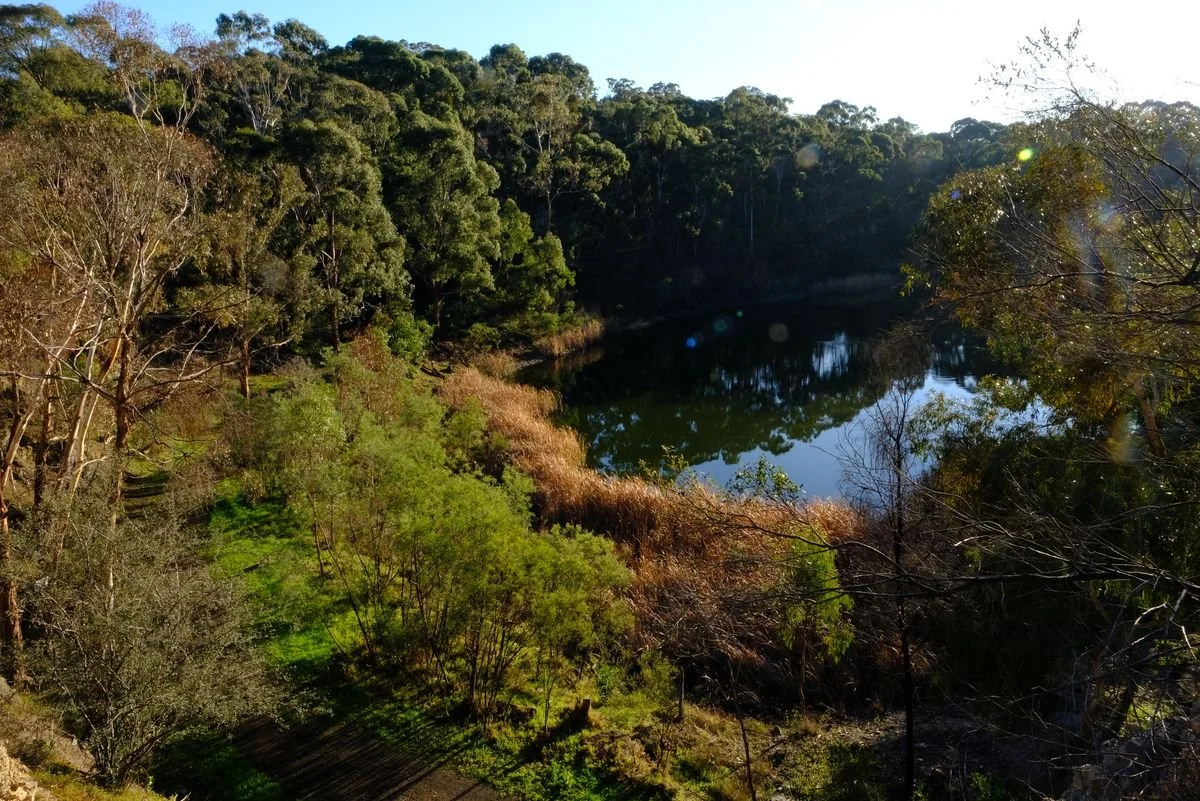A serene natural landscape featuring a small lake surrounded by trees and dense forest, with sunlight filtering through the branches.
