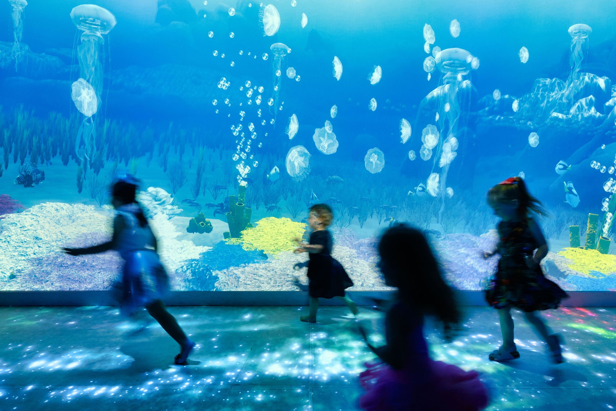 Melbourne Zoo & Aquarium2.jpeg