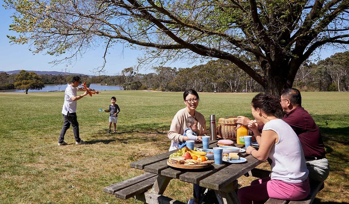 Family having a picnic under a large tree in a park near a lake, children flying a toy airplane, and a woman holding a baby at the picnic table.