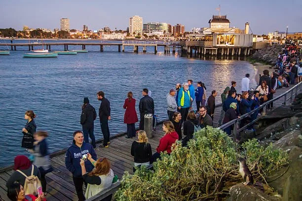 People walking and sitting along a harbor pier with boats and city buildings in the background during daylight.