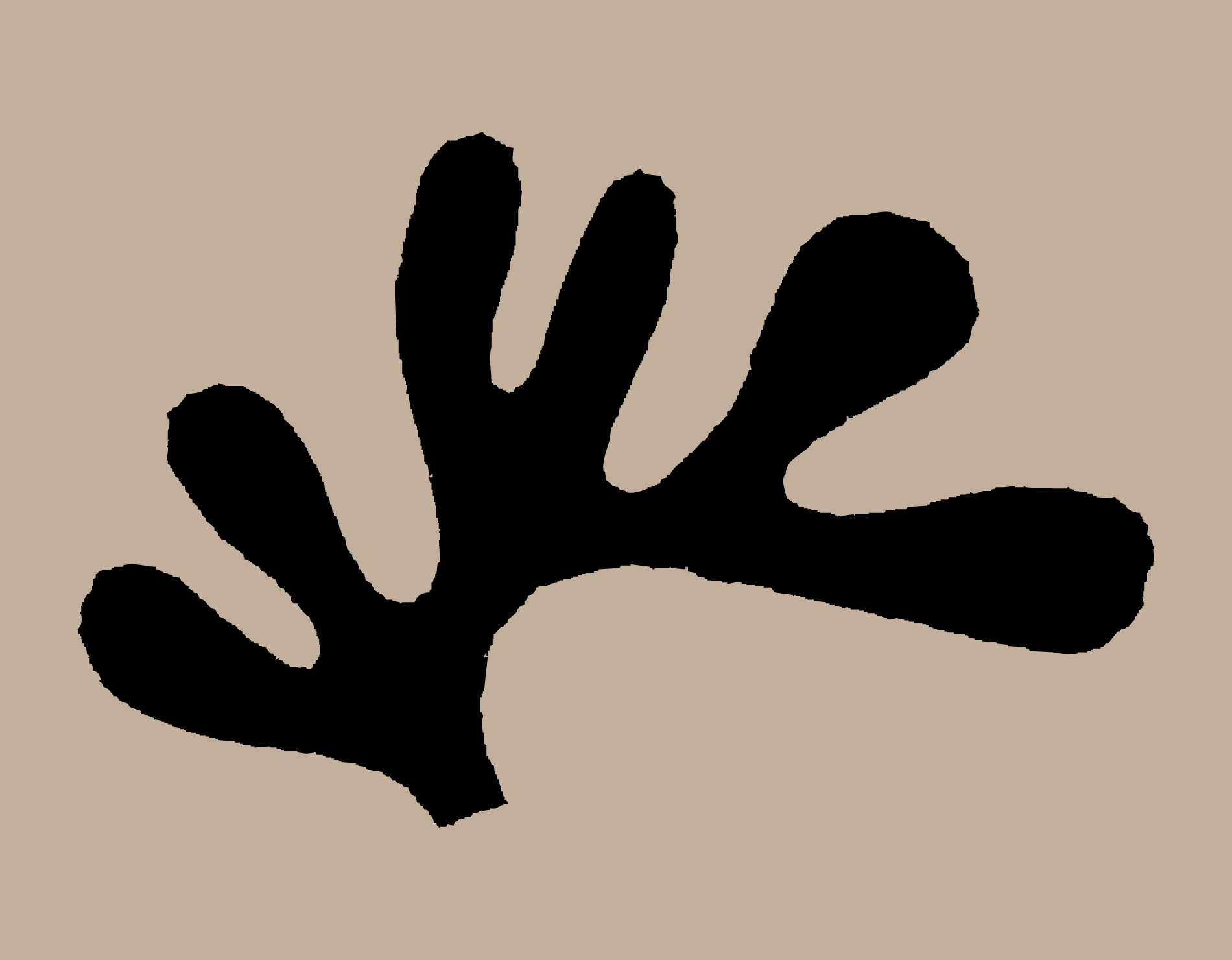 Calabash image 05
