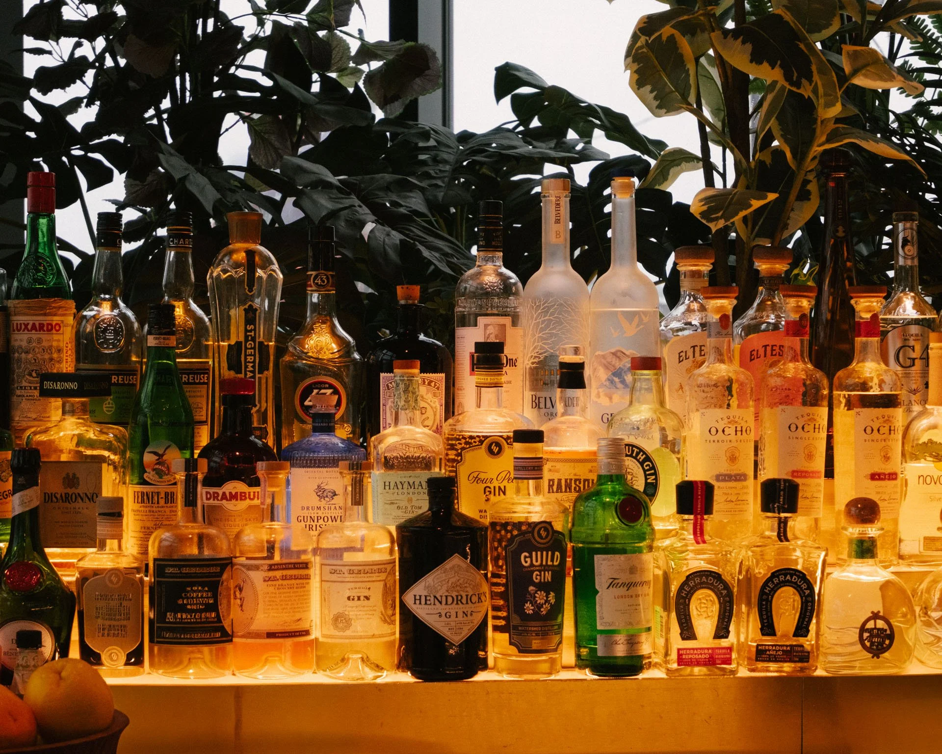 jaja_food_cocktails_260812_30_dsf9796.jpg