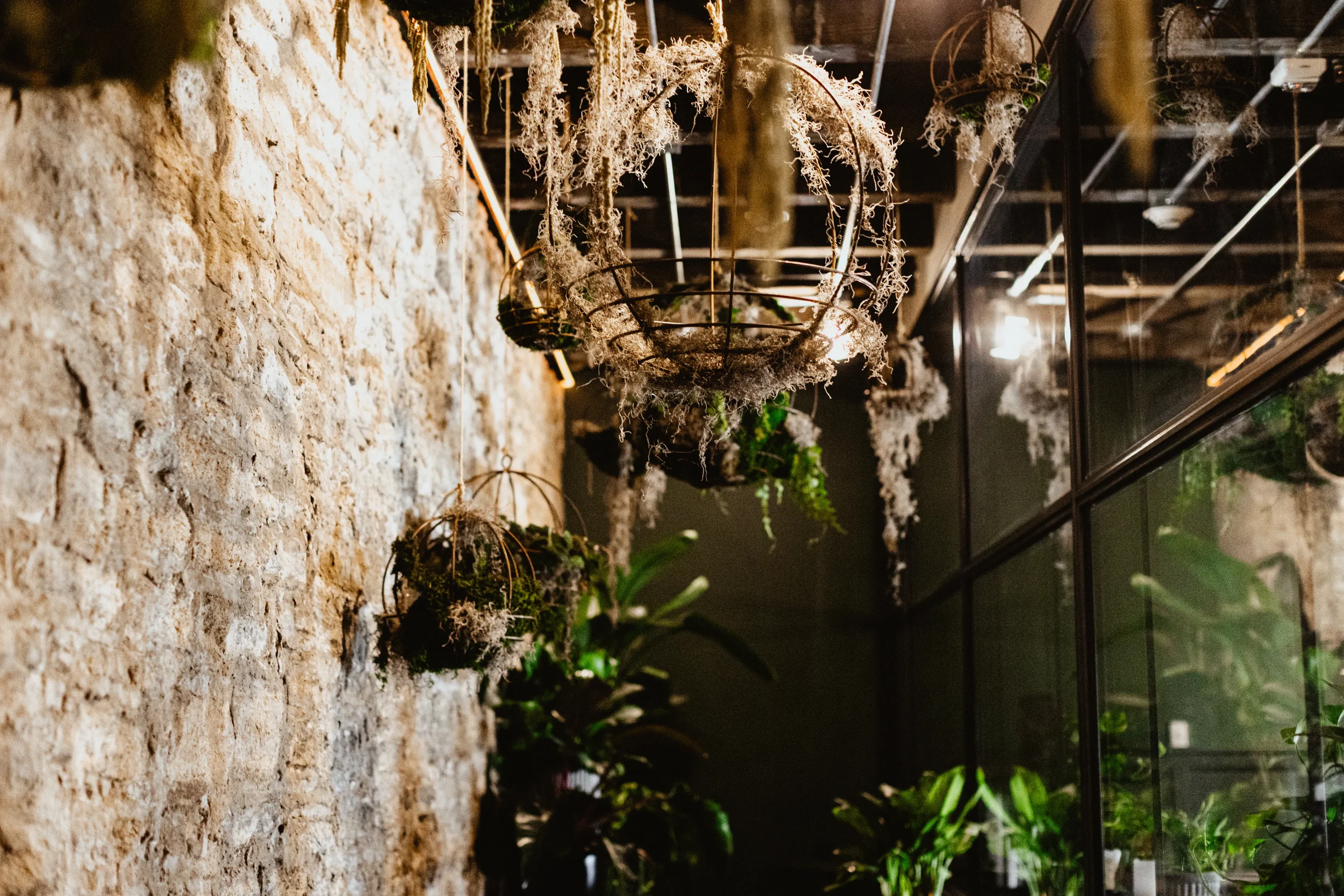 CSP_2023_919_Flora_Room_03.webp