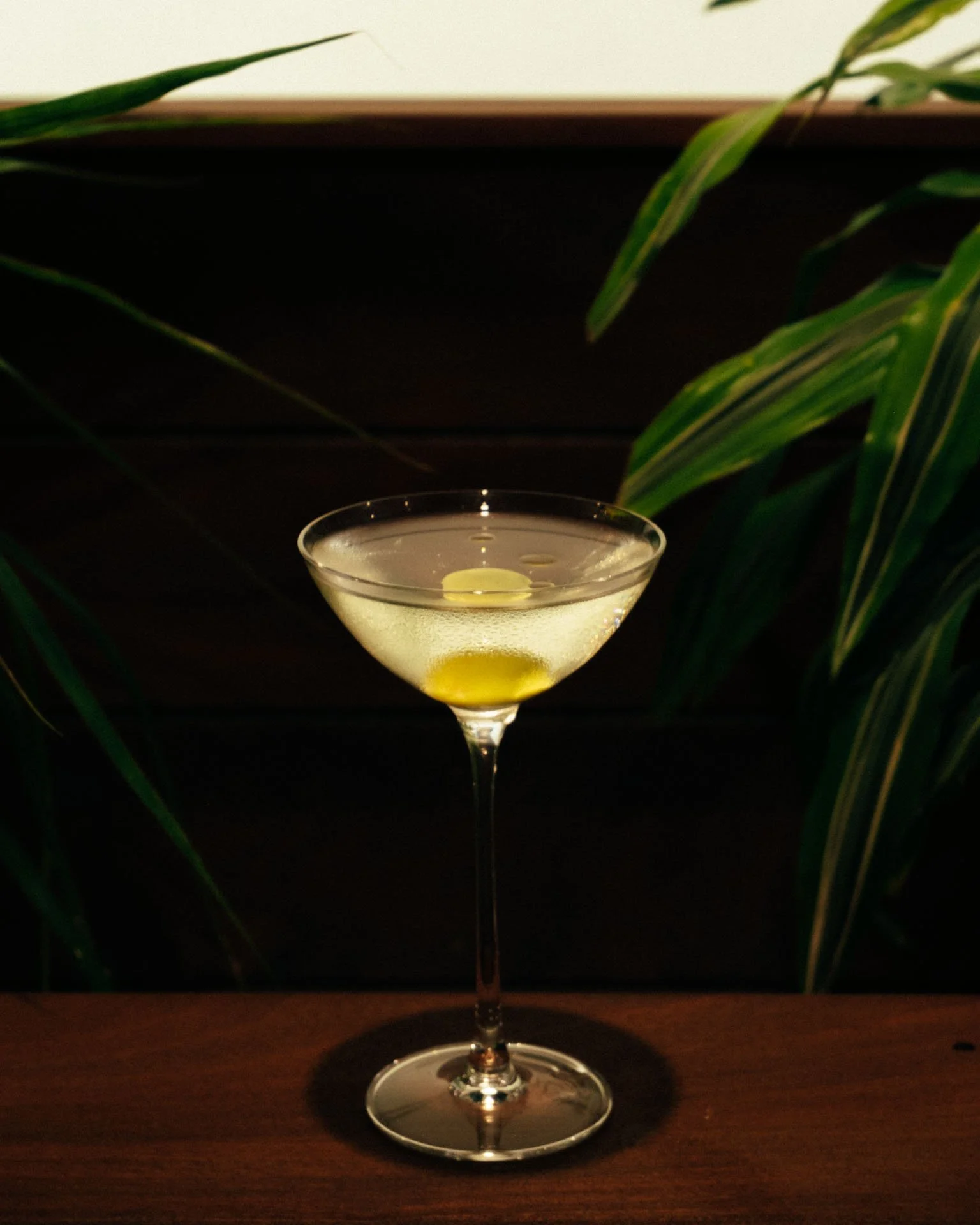 oliveroom_promo_260930_84.jpg