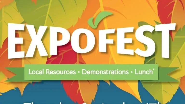 Lifestream Expofest