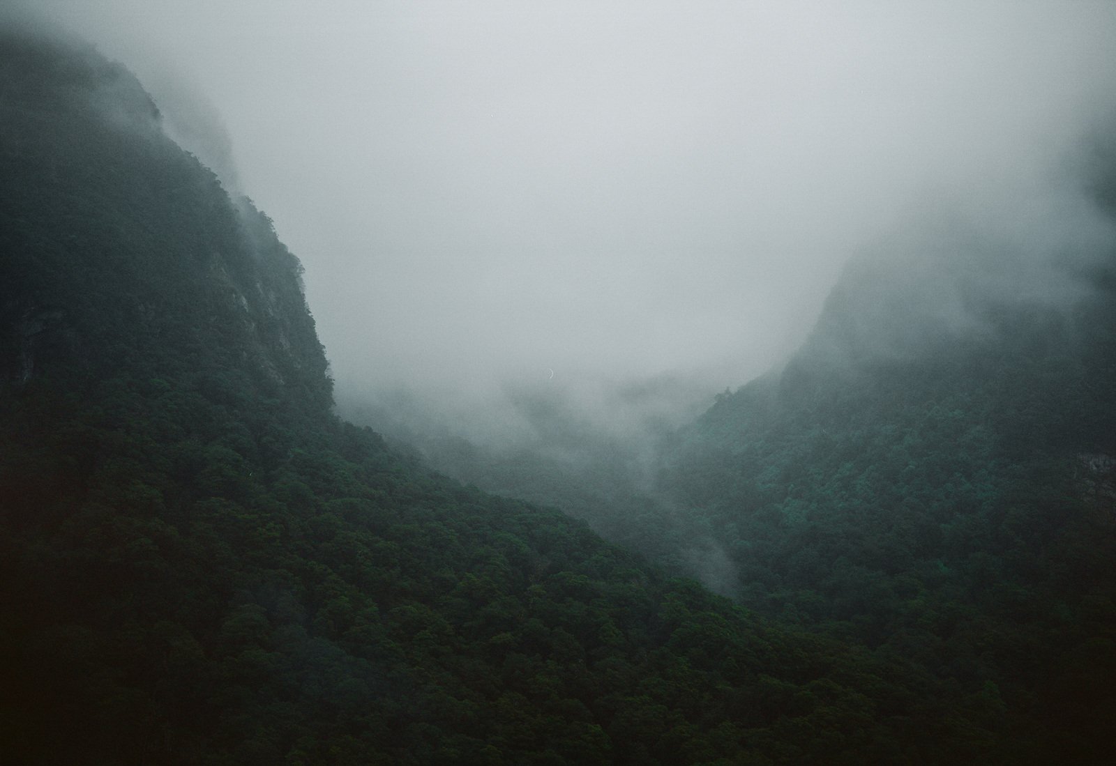 Fiordland, New Zealand