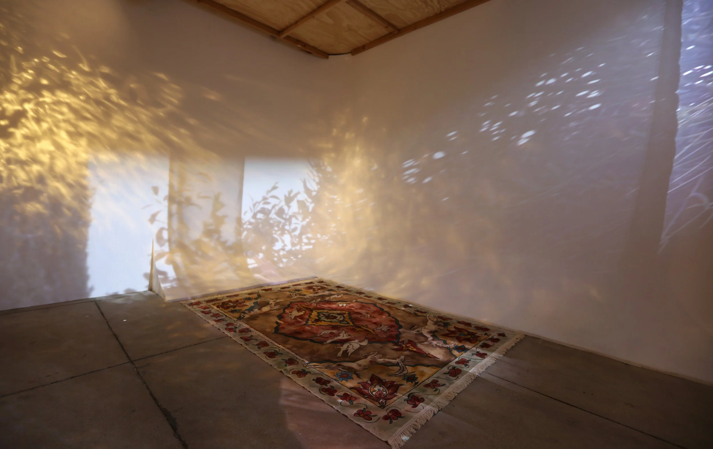 The Soul . [Night (installation view).]