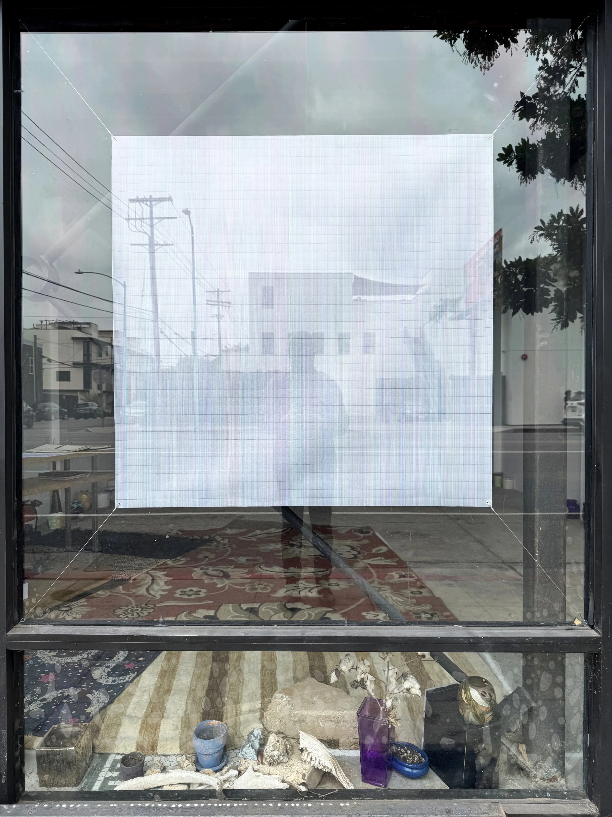 009.jpg