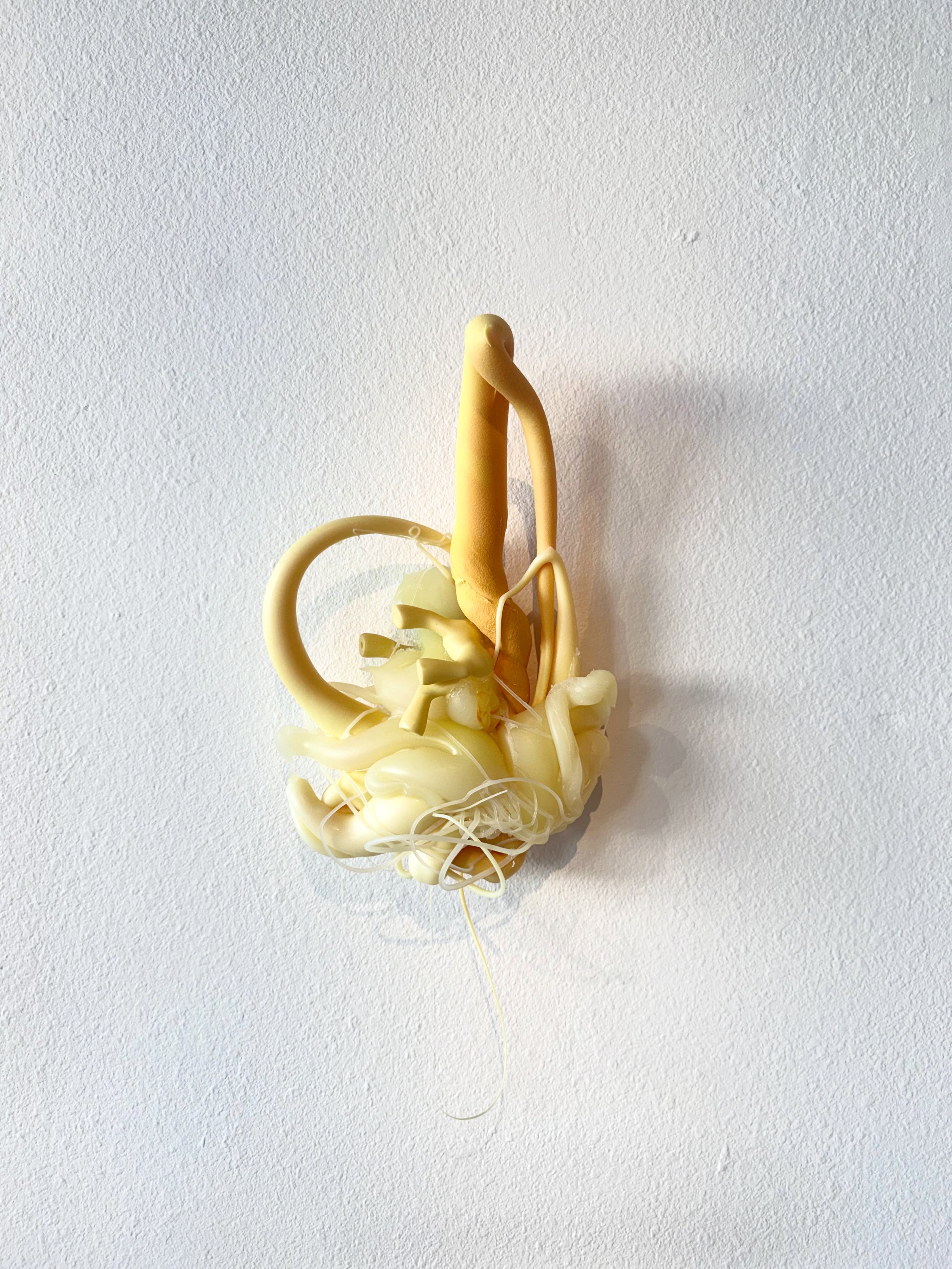 Danica Ribi. [COG] I'm leaving for the land of promises . 2026. Ethyl vinyl acetate, thermal plastic elastomer, polyethylene, My Little Pony G3 (Royal Bouquet). [Installation view (Day)/ Noon.]