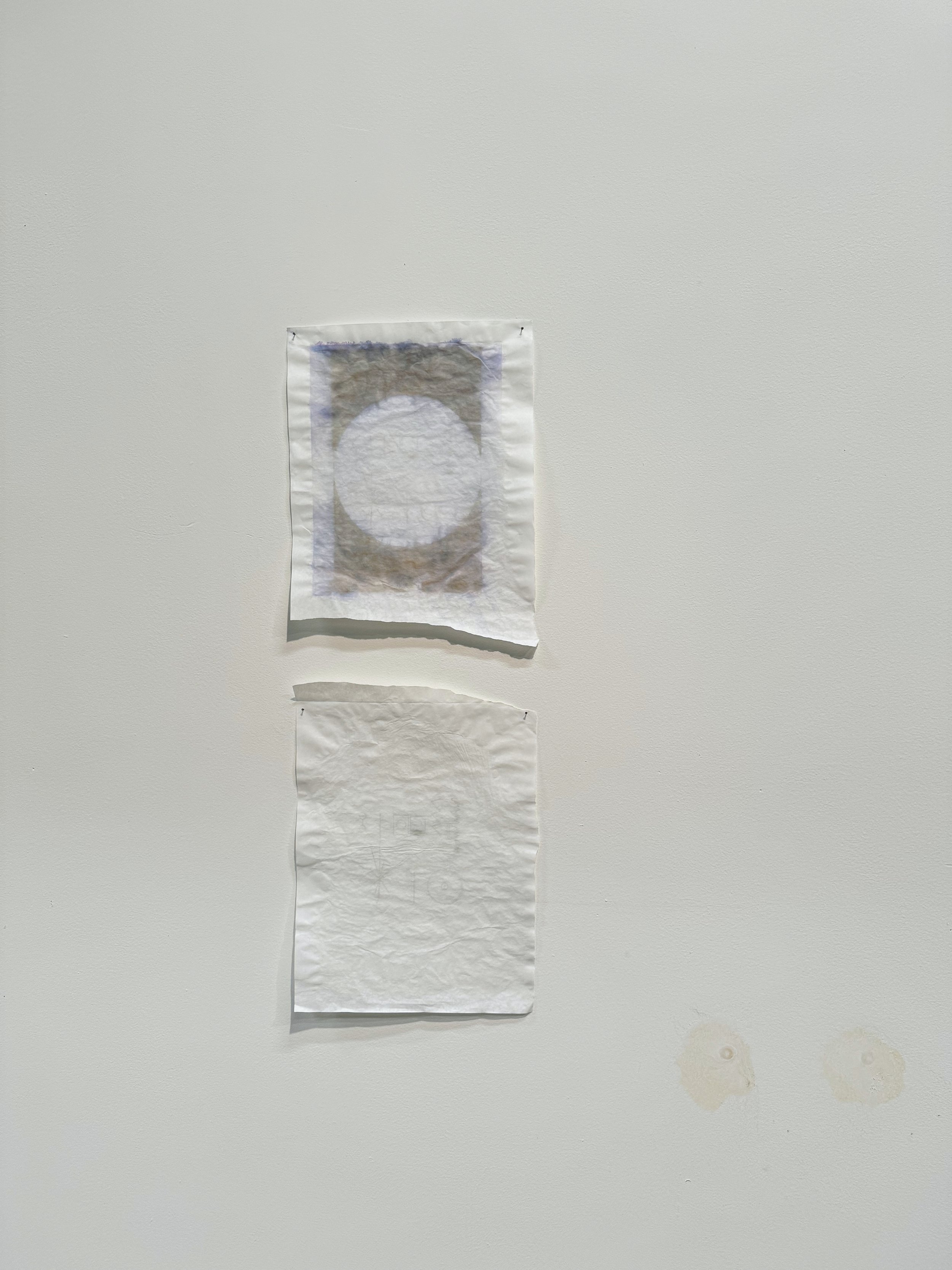 Hole (Event Horizon). 2024. Hydrogen Peroxide print on interleaving paper; exposed repair of two holes in wall.