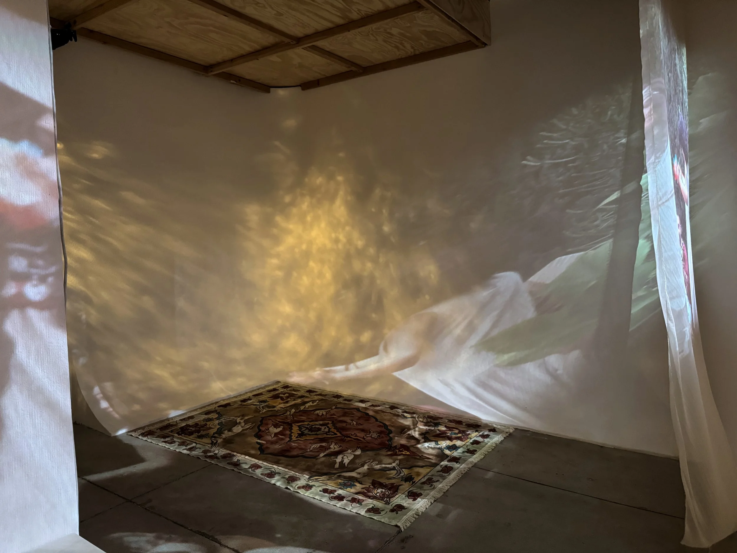Bagh / The Garden . [Side/inside.]