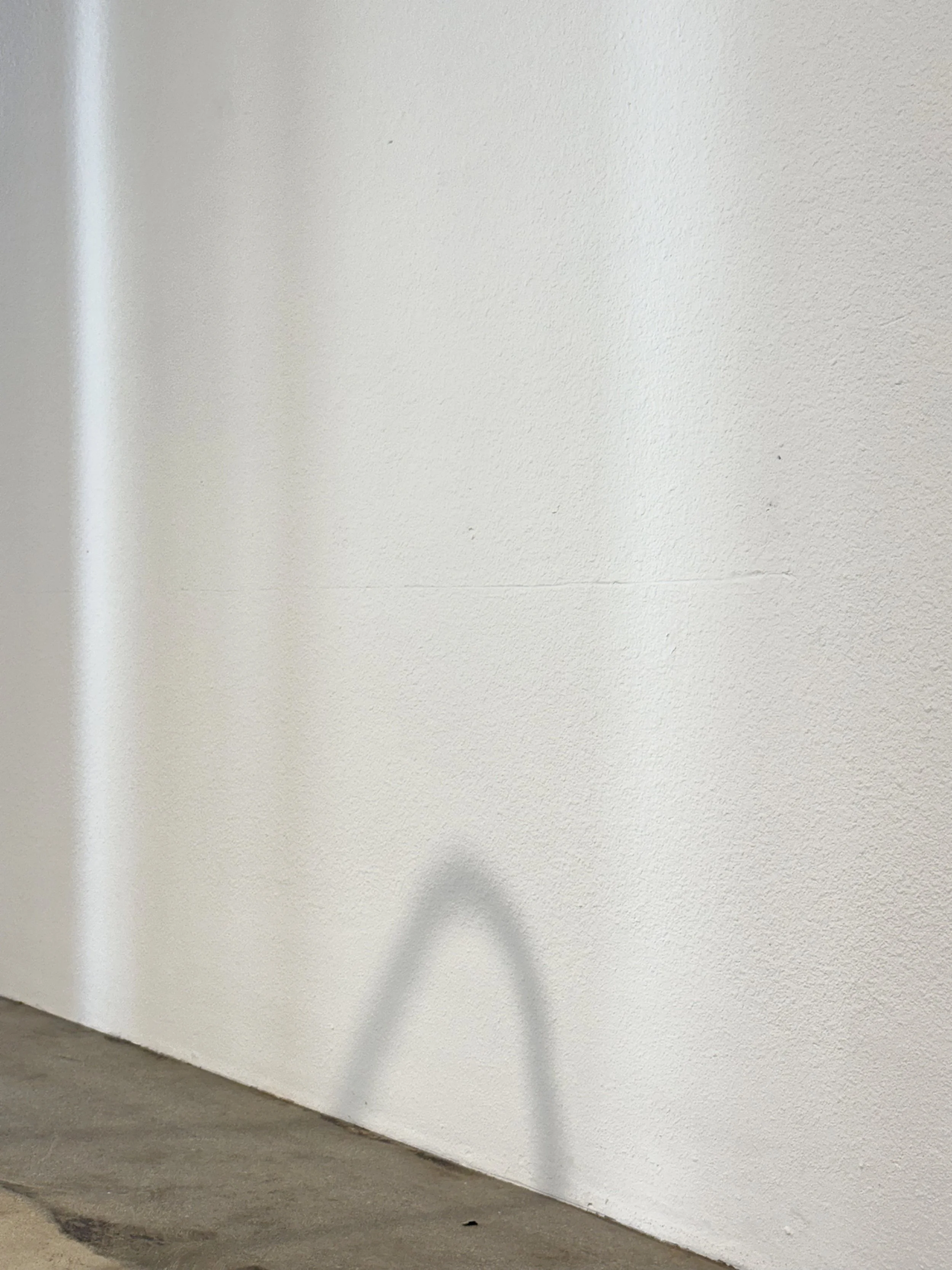 Talya Petrillo. Quiet, Not Dramatic . [Detail e.]