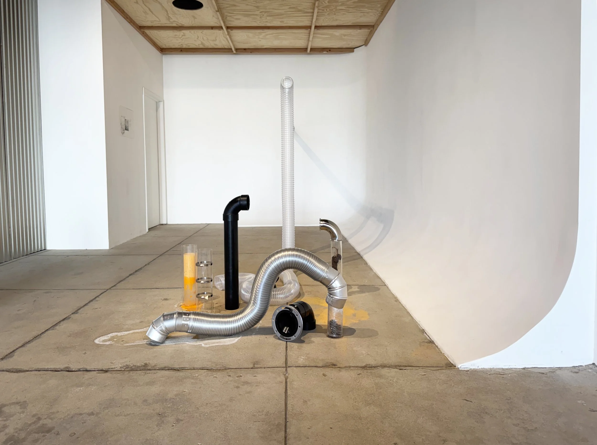 Chinning Liu. Problem (at the end of the day) . 2026. Root from Cathy's shower drain, shower collected hair, metal, PMMA, ABS, PVC, mineral liquid. Dimensions variable. (Site-specific installation.) [Installation view (Day)/ Noon.]