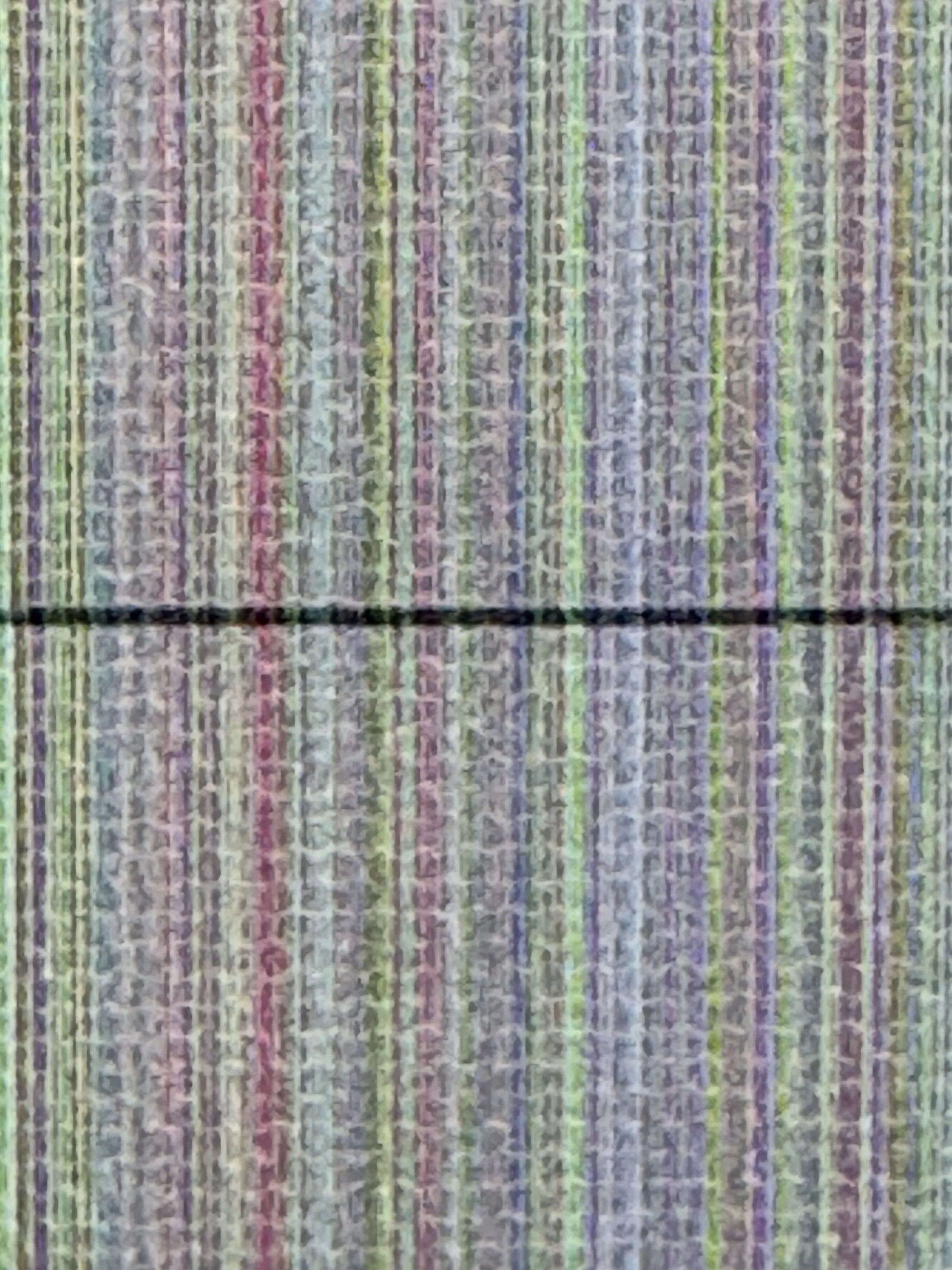 000.jpg