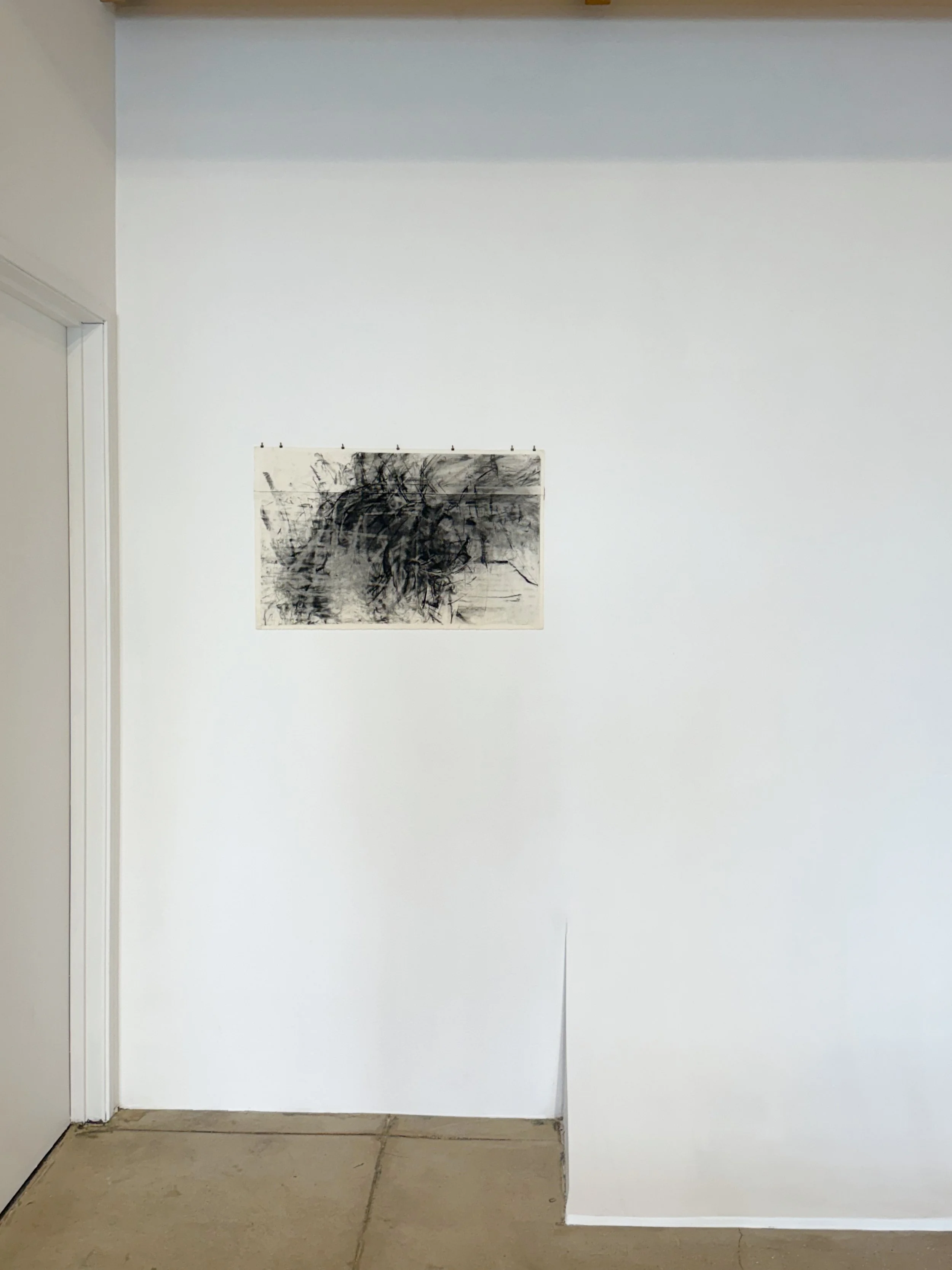 Lindsey Harald-Wong. the queen bee (2005). Cotton watercolour paper, charcoal. 30 x 18 inches.