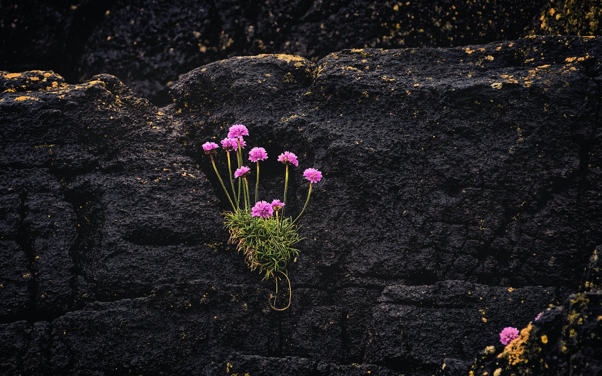 Why you feel stuck in therapy and how to not waste years in therapy