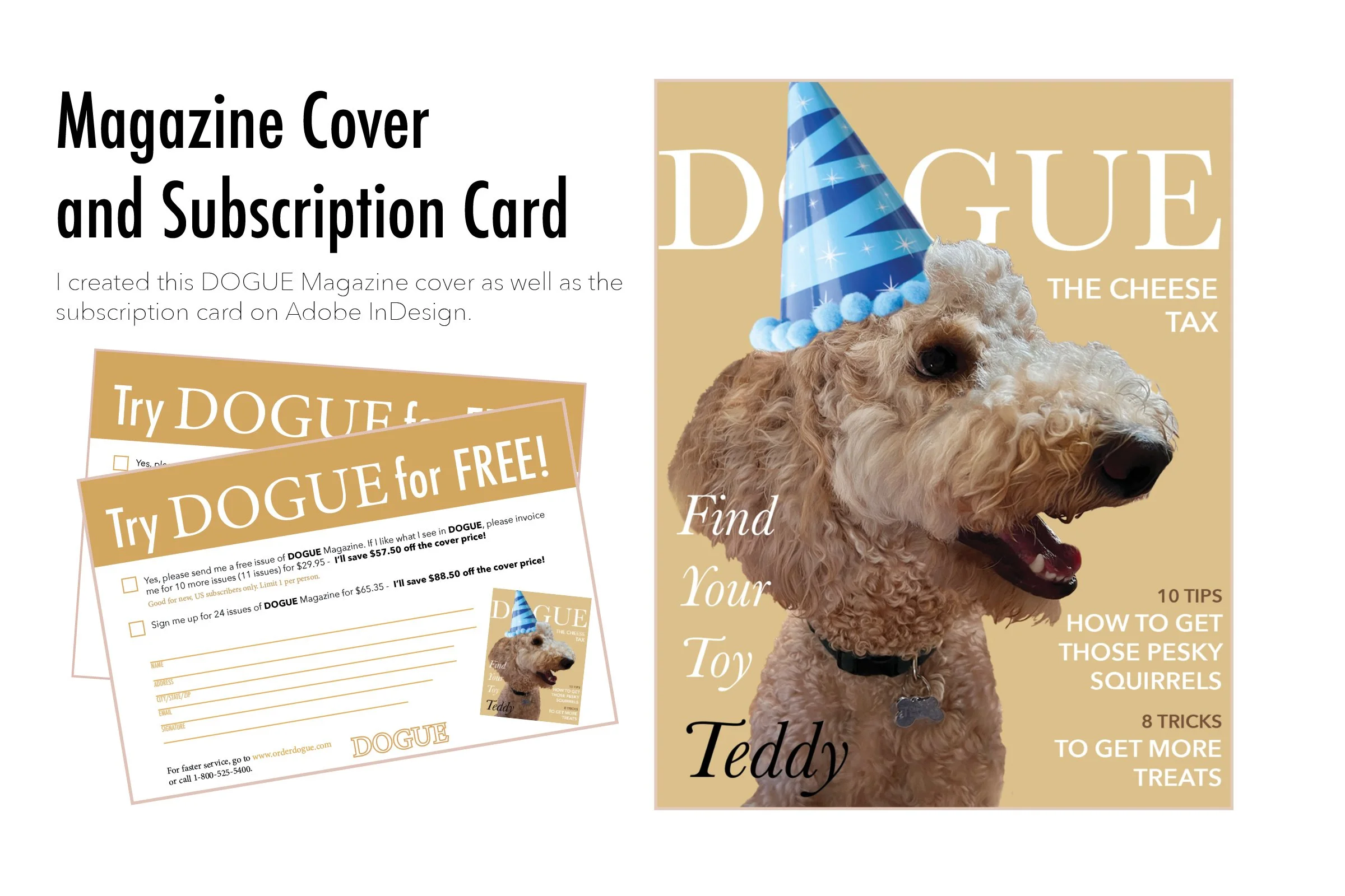 portfolio version for magazine cover and subscription card (2).jpg