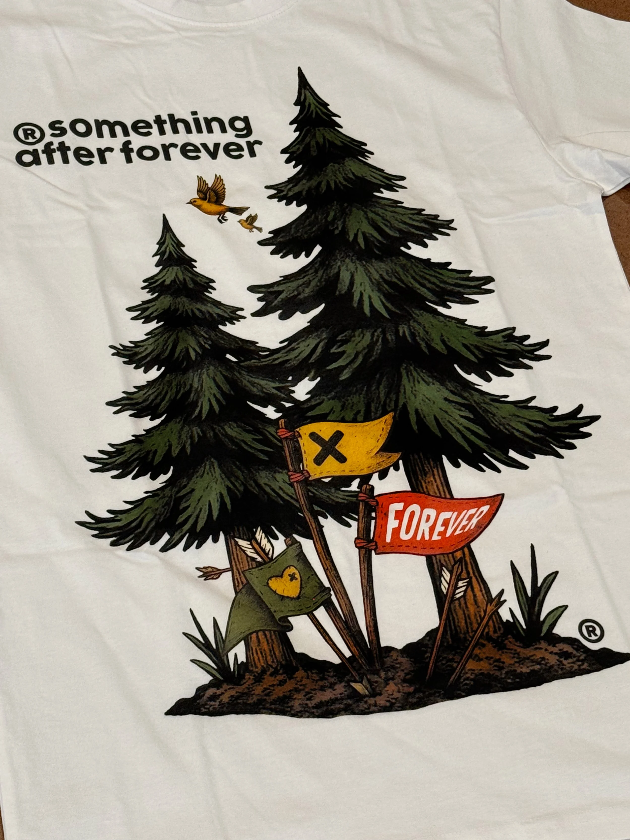 SAFX_STILL SURVIVING 2.jpg