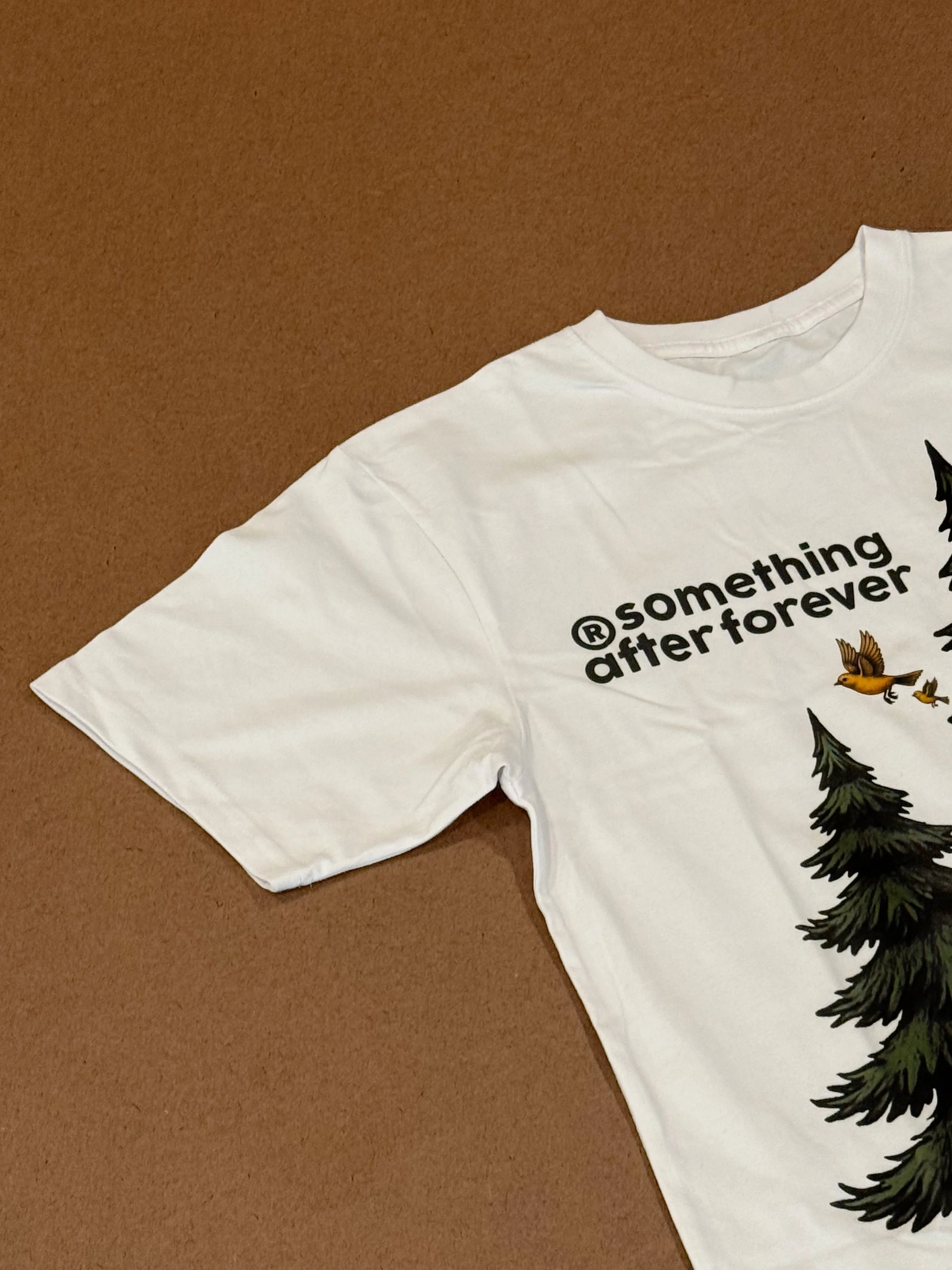 SAFX_STILL SURVIVING 3.jpg