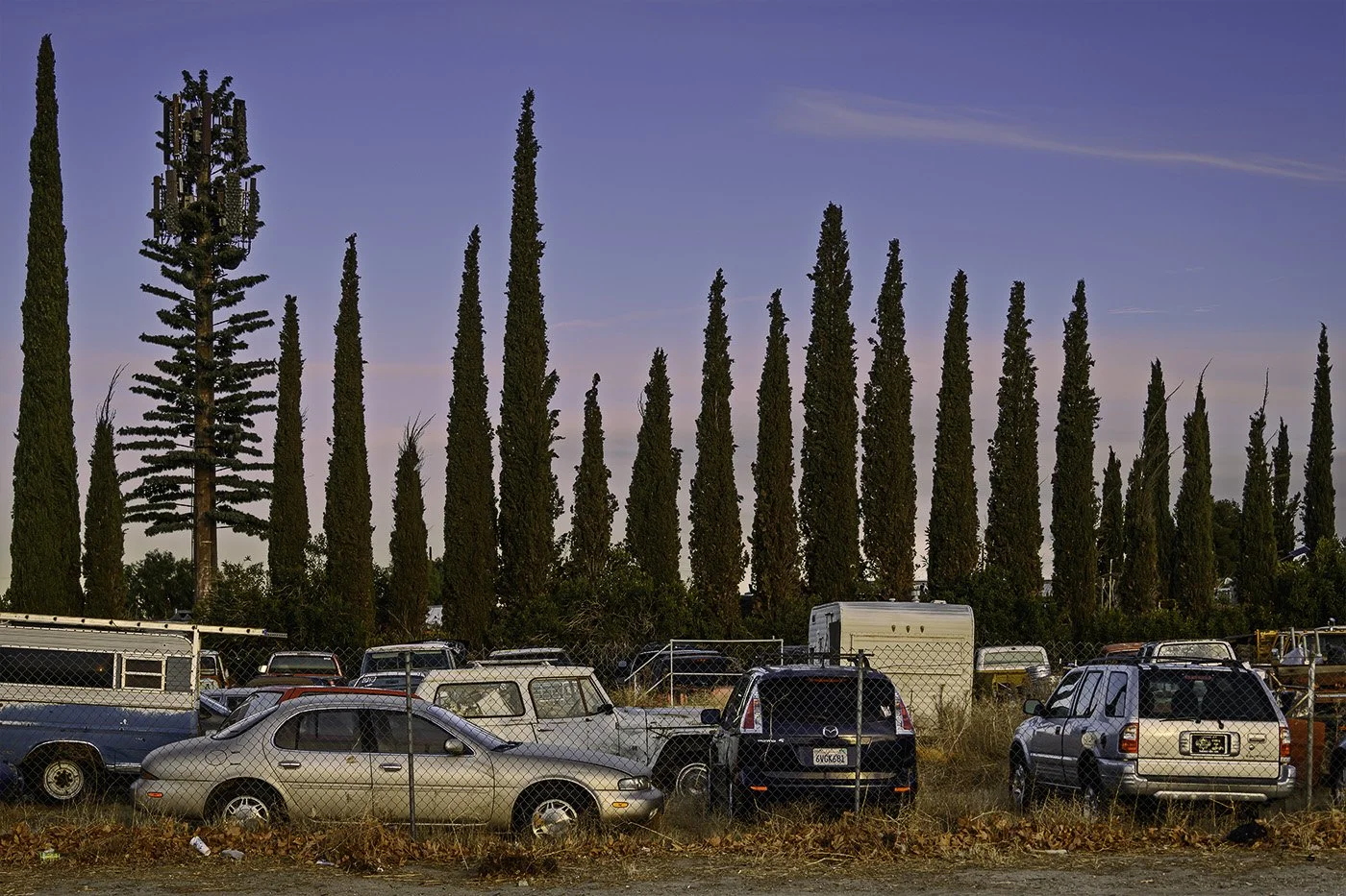 Cypress Row, Littlerock, CA