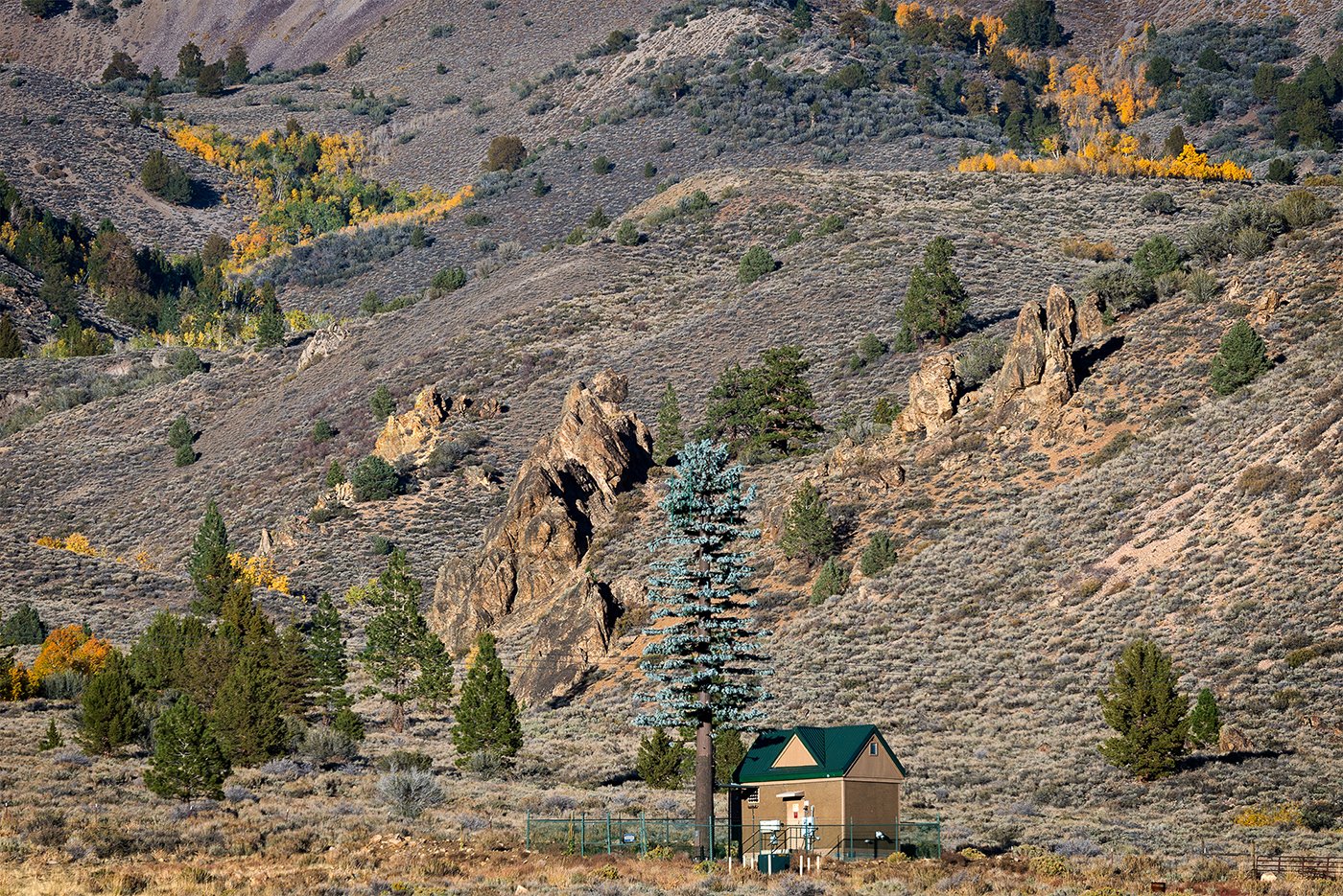 Early Autumn Color, Sonora Pass, CA