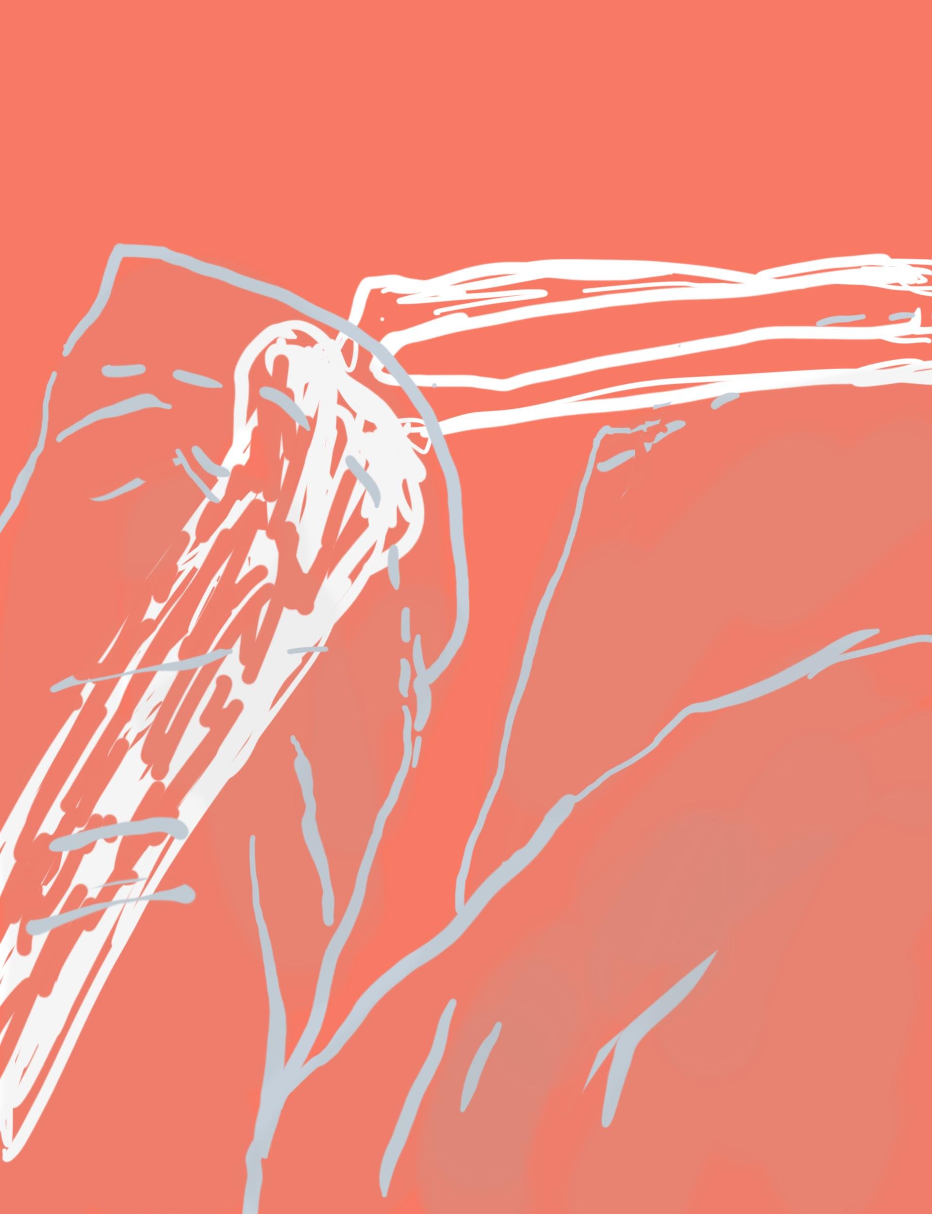 "Rough Skell Shell" July 27, 2020