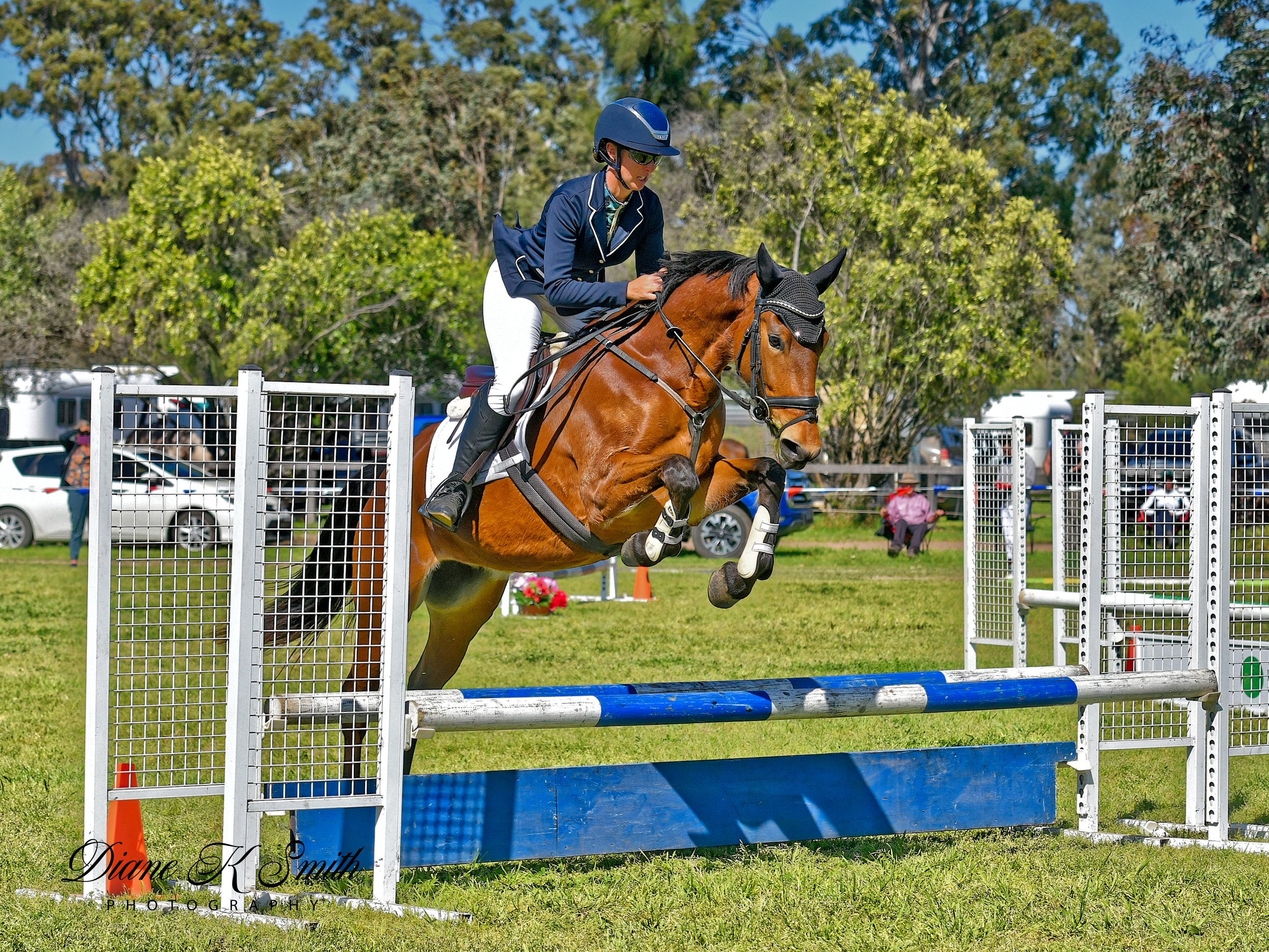 DSC_7624_DxO.jpeg