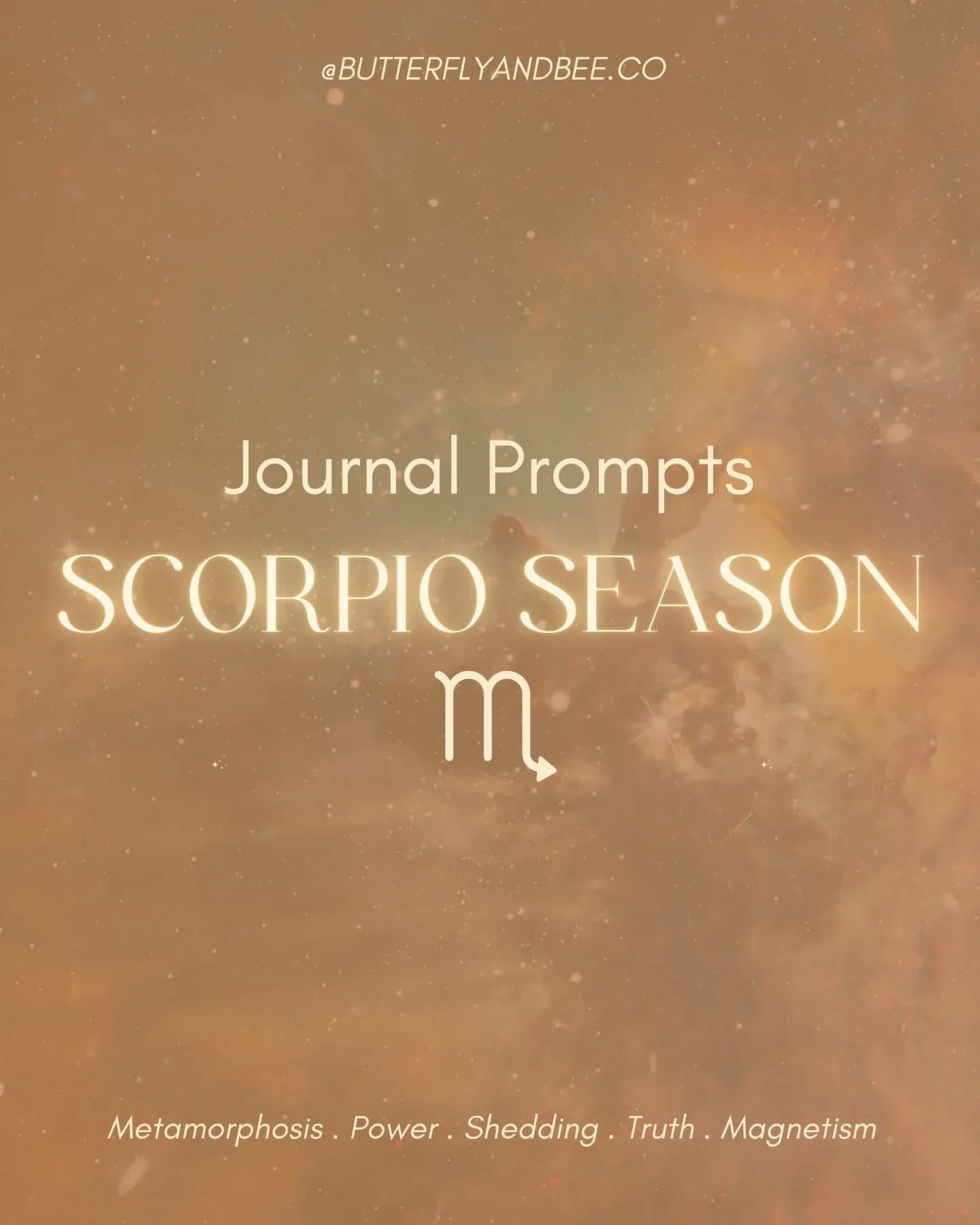 Scorpio Season Ponders

Grab your journal, think/reflect out loud or share with a trusted friend/lover and see what is uncovered through truth ☕️⚡️

With less than 2 weeks left of scorpio season, why not deep dive into the depths, its the season for 