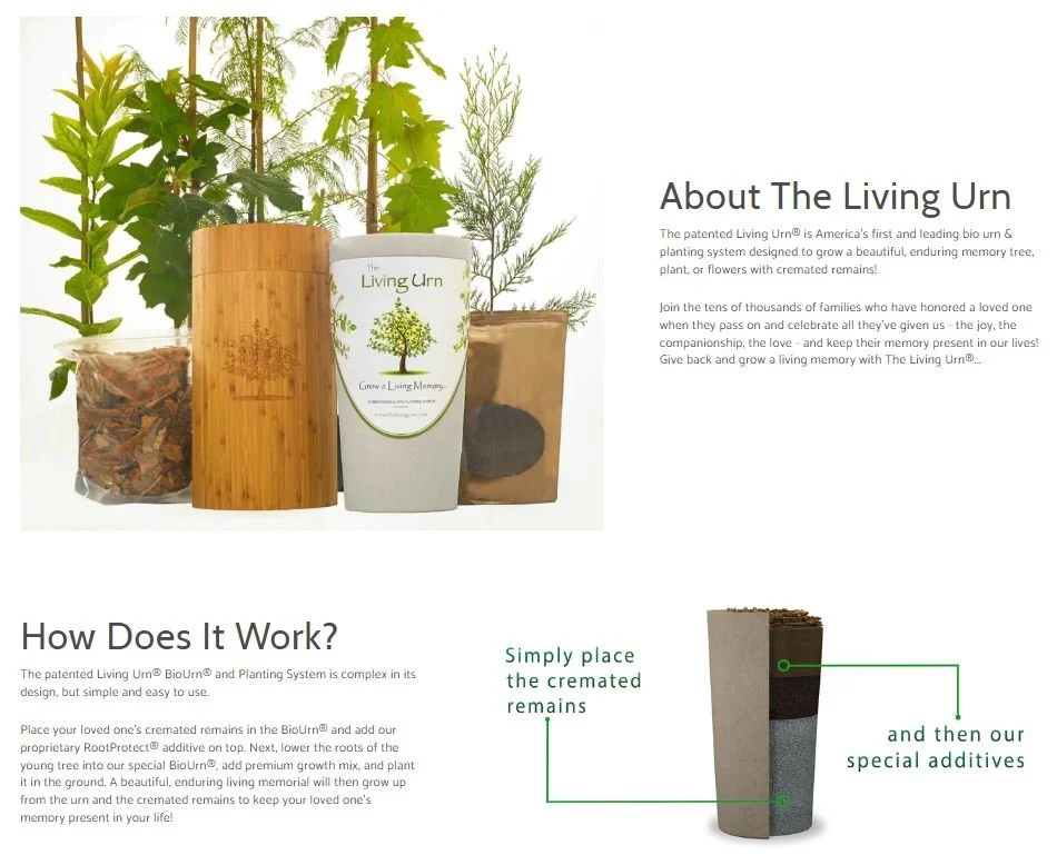 The Living Urn - Tree