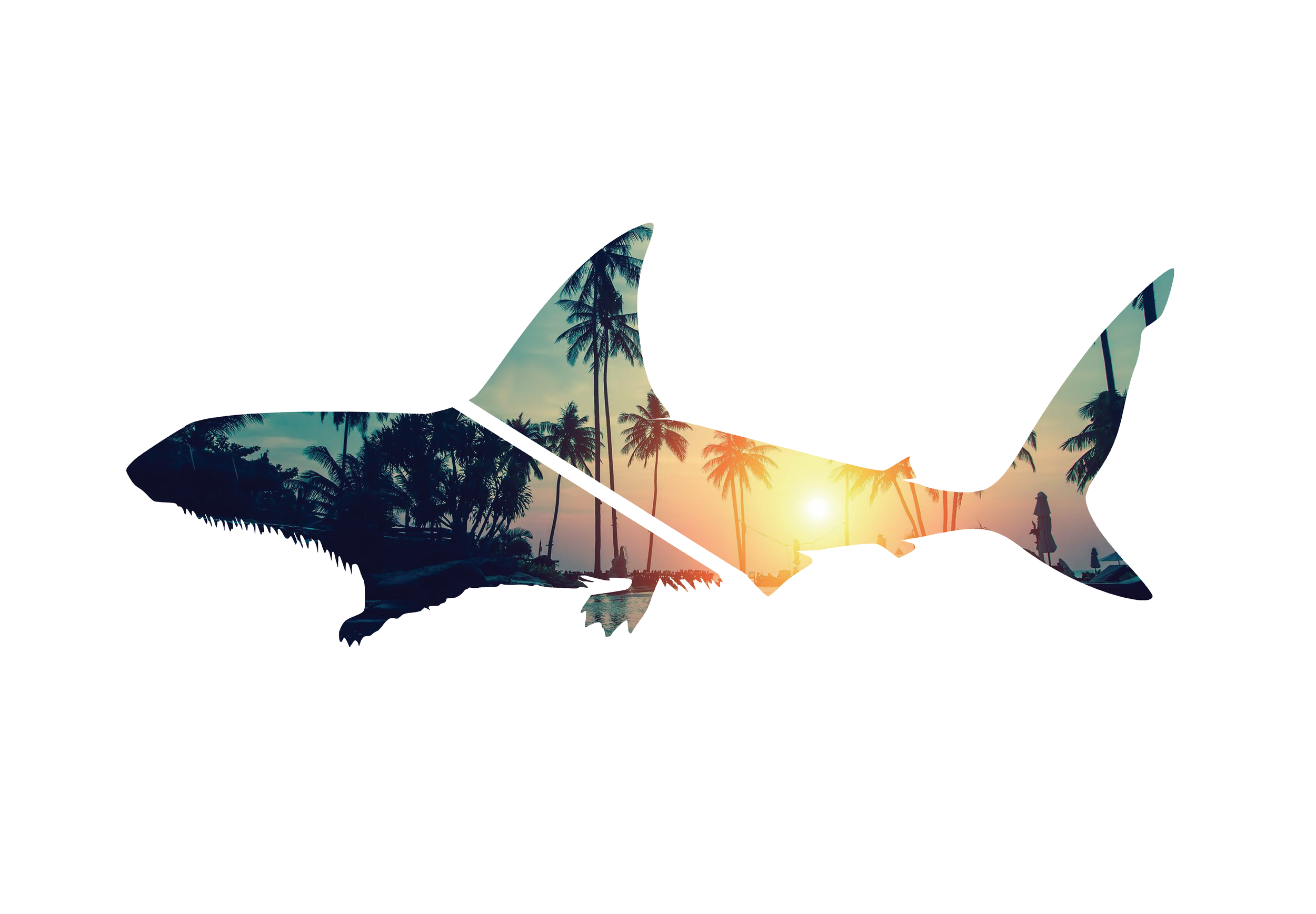 California Dreamin.png