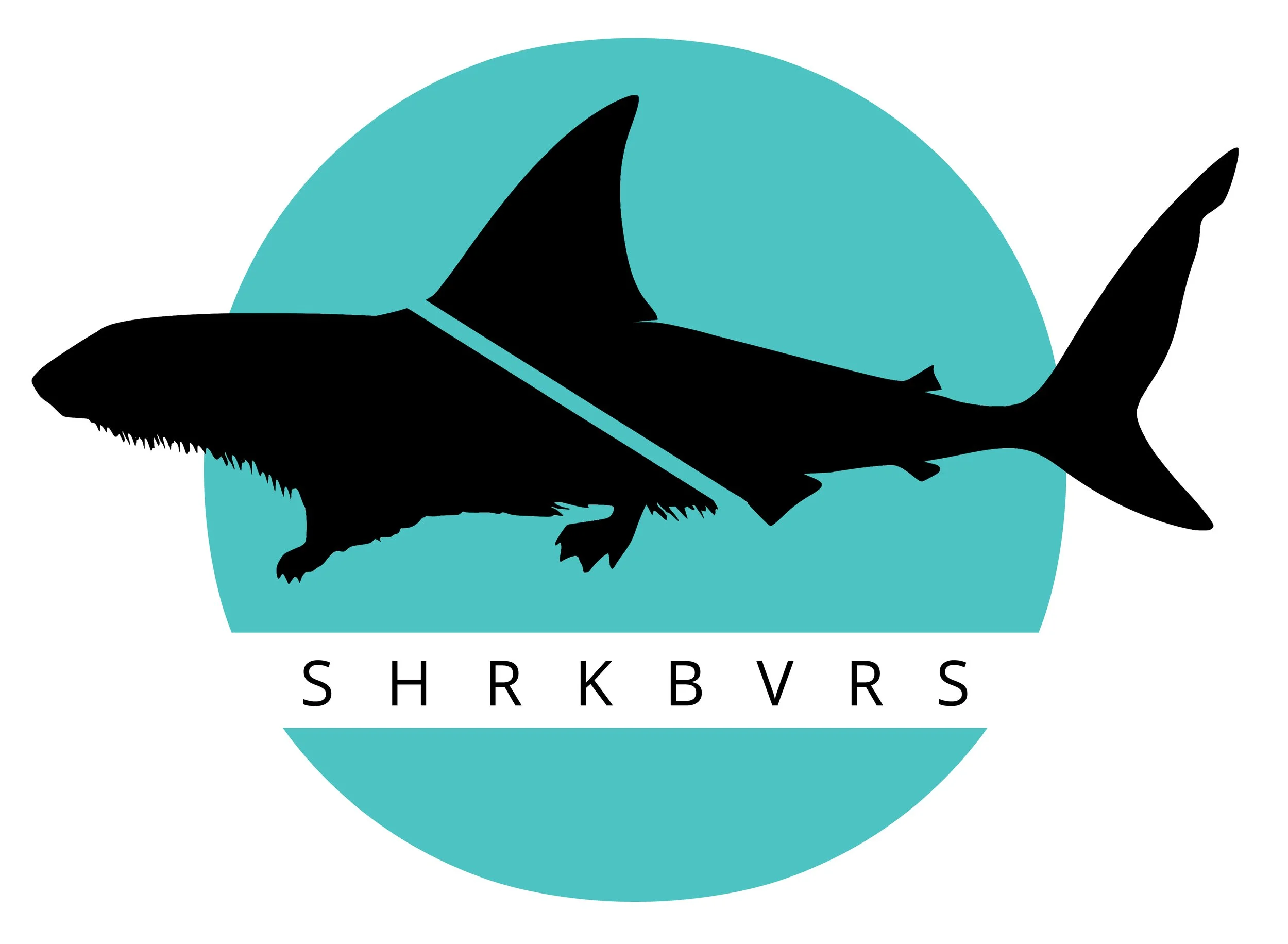 Classic_Teal Circle.jpg