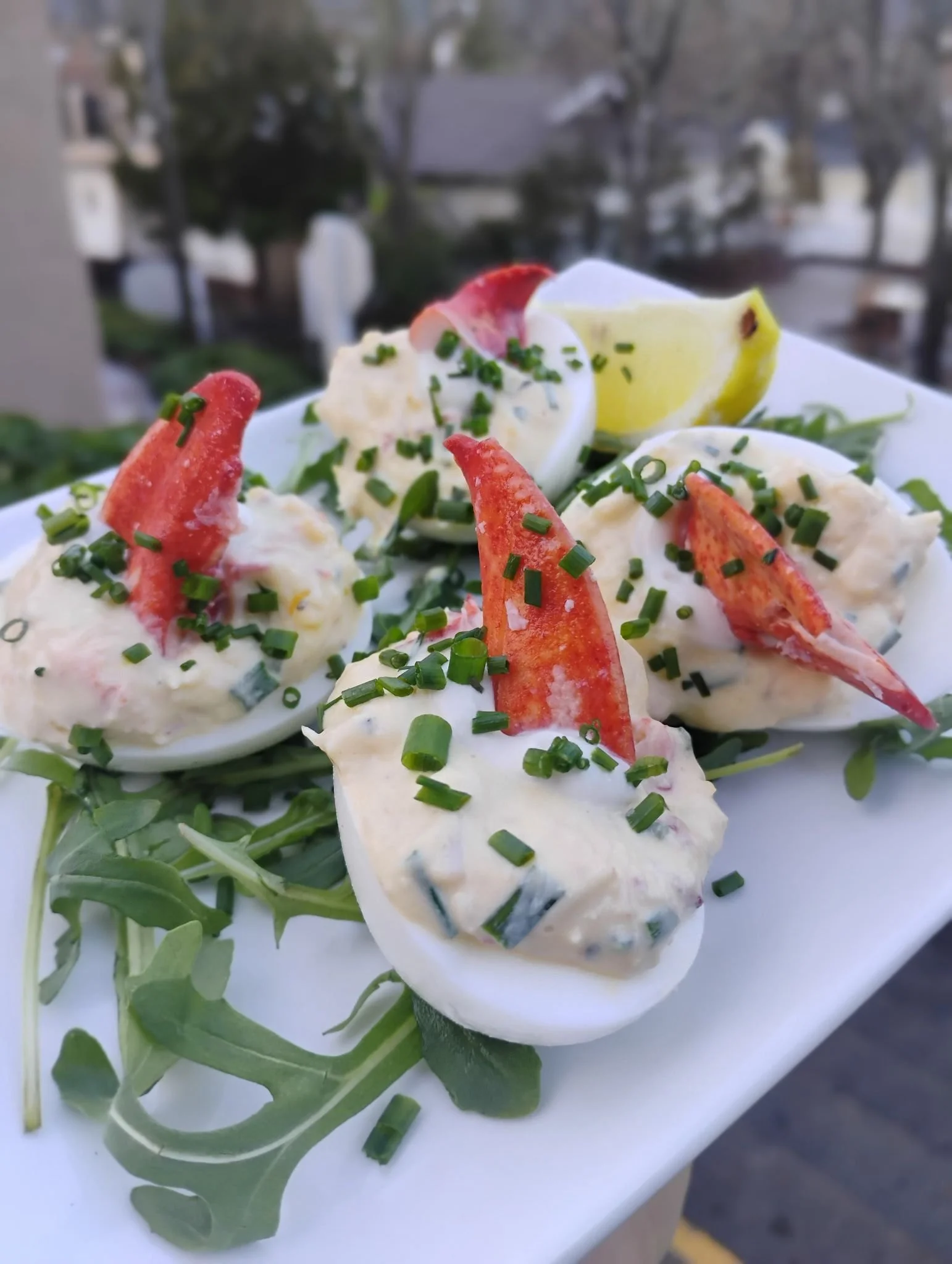 WhatsApp Image 2026-01-23 at 11.56.12 (2).jpeg